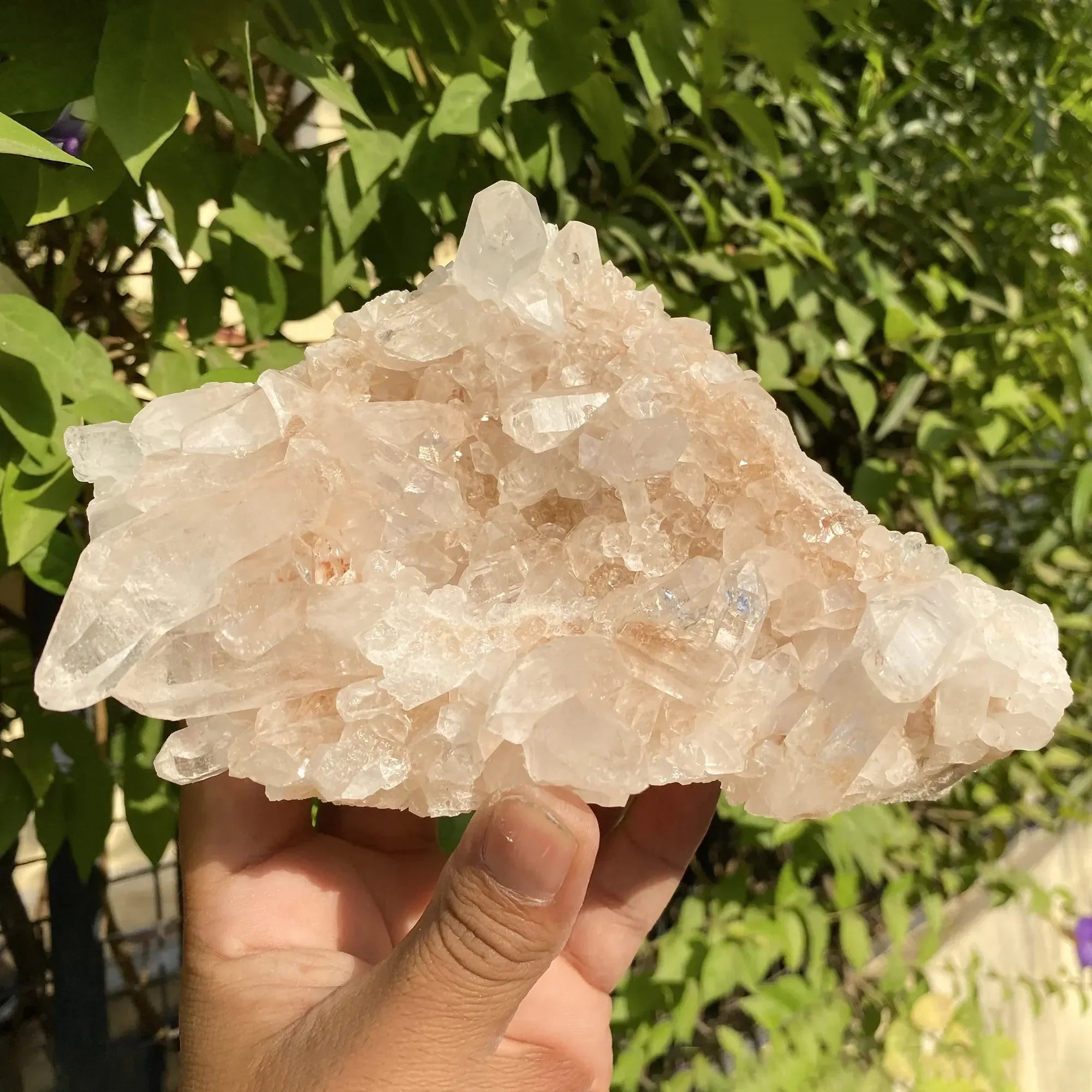Natural Himalayan Pink Quartz Cluster 1075g Himalayan Quartz
