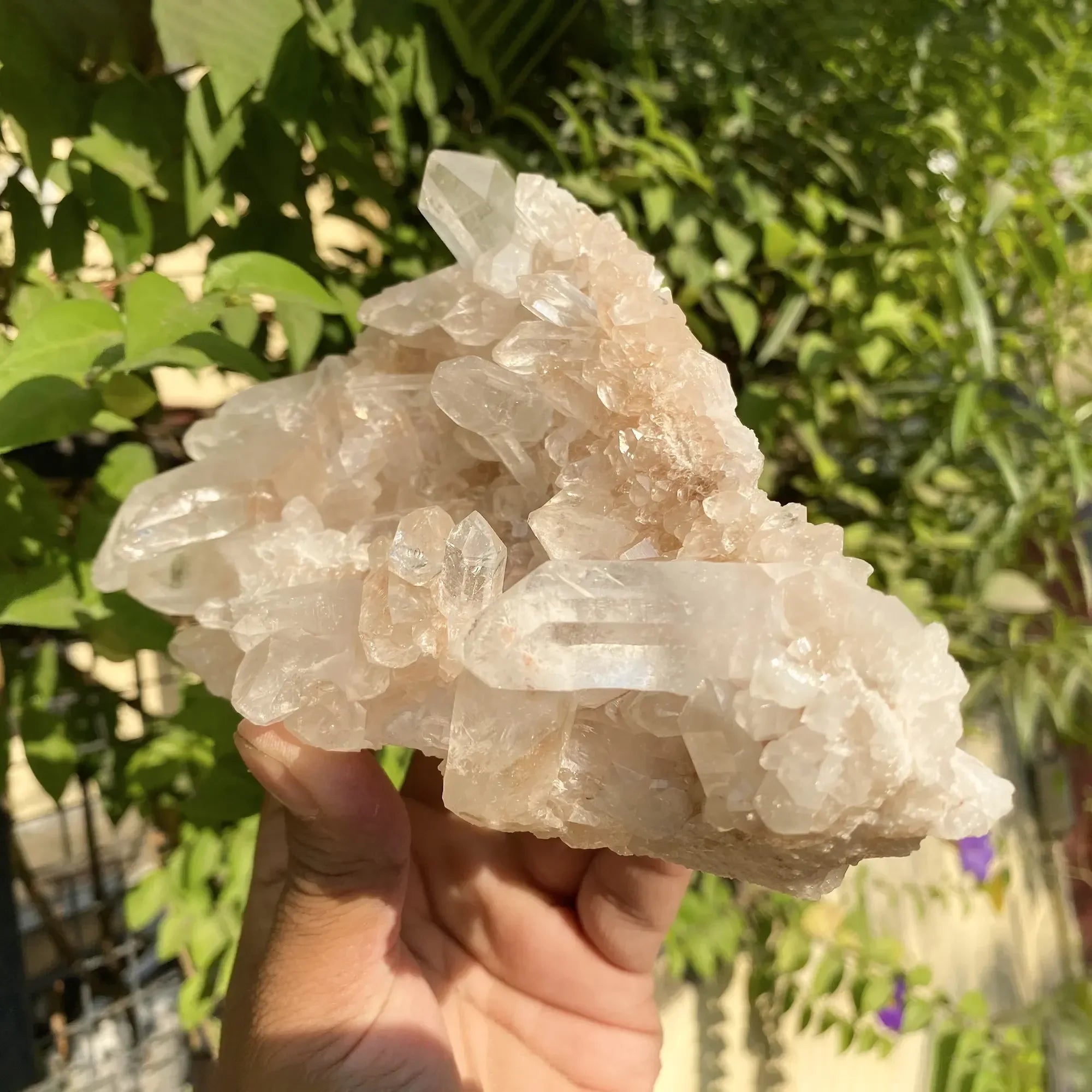 Natural Himalayan Pink Quartz Cluster 1075g Himalayan Quartz
