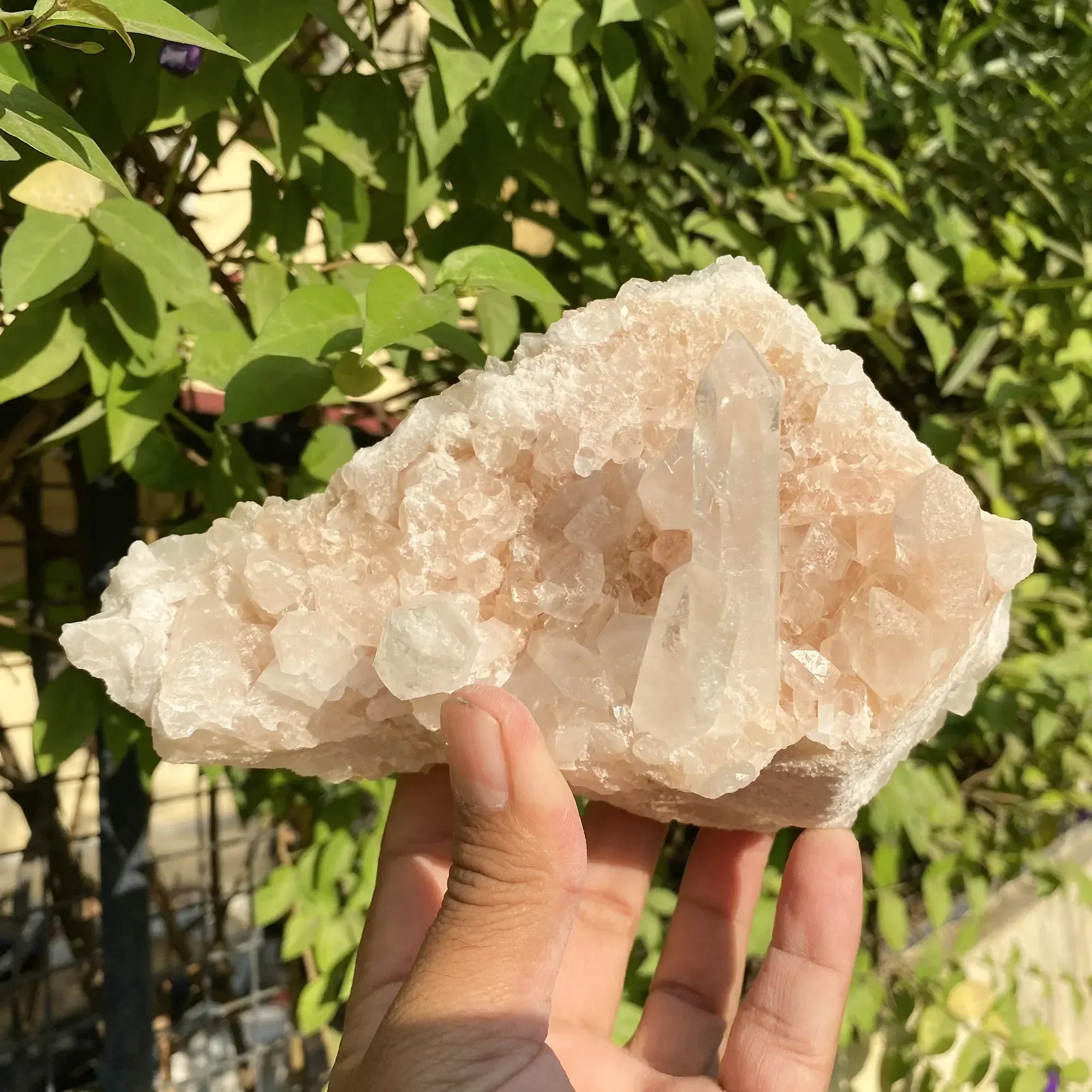 Natural Himalayan Pink Quartz Cluster 1075g Himalayan Quartz