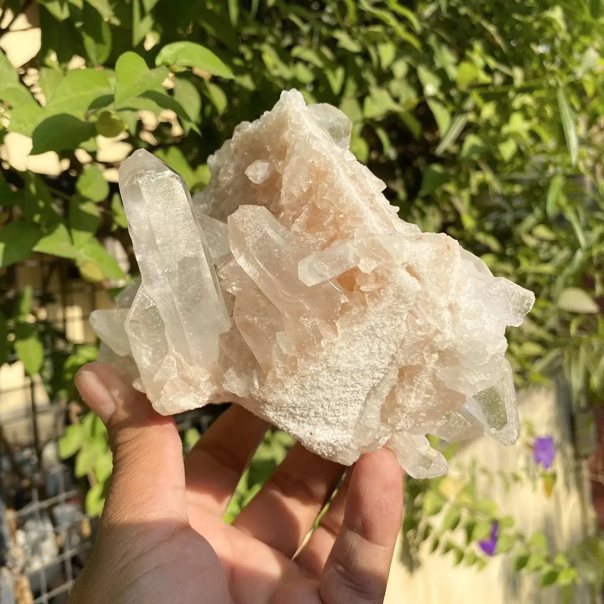 Natural Himalayan Pink Quartz Cluster 1075g Himalayan Quartz