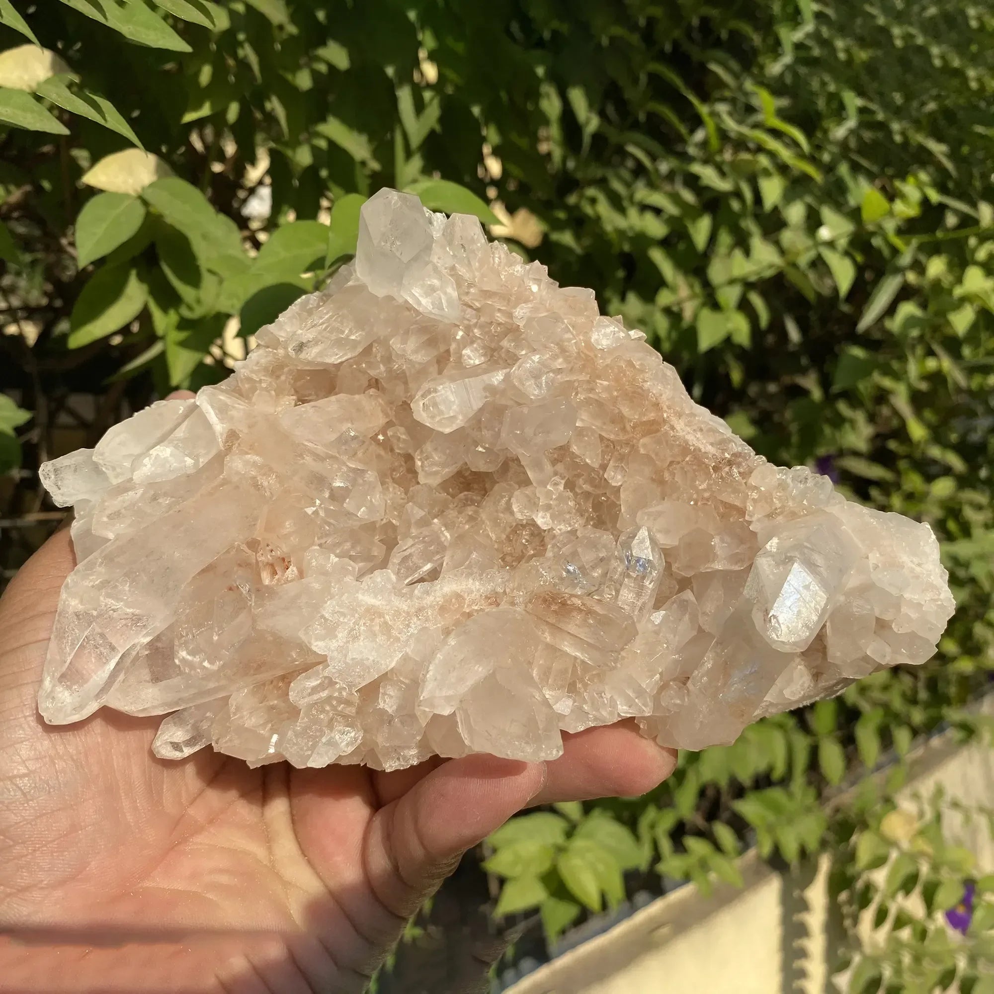 Natural Himalayan Pink Quartz Cluster 1075g Himalayan Quartz