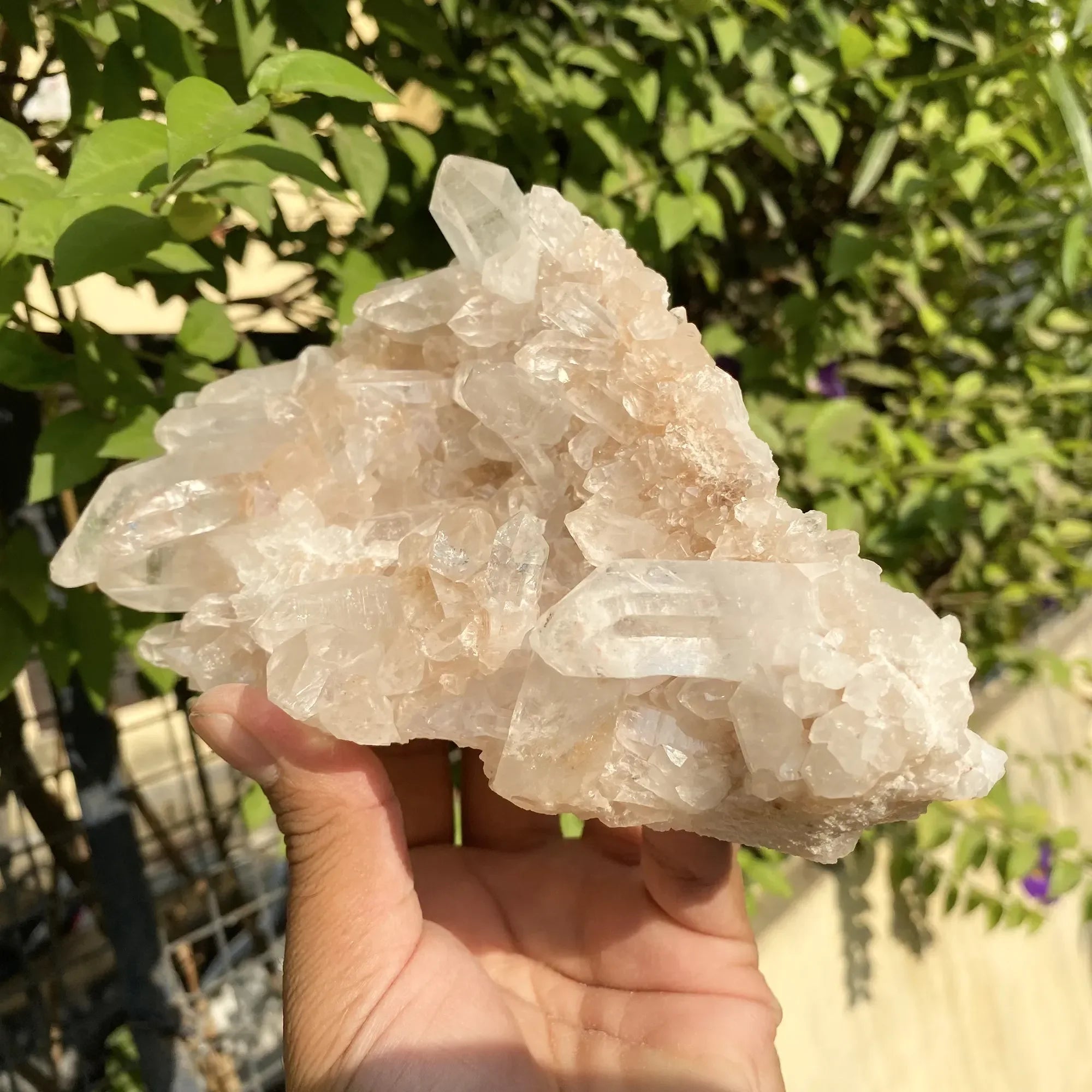 Natural Himalayan Pink Quartz Cluster 1075g Himalayan Quartz