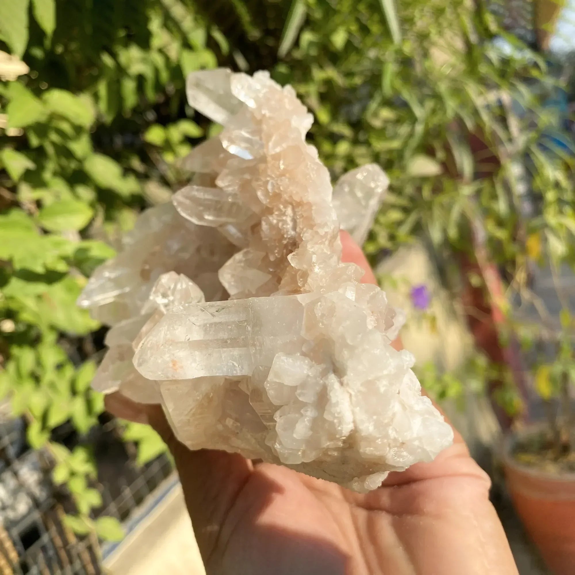Natural Himalayan Pink Quartz Cluster 1075g Himalayan Quartz