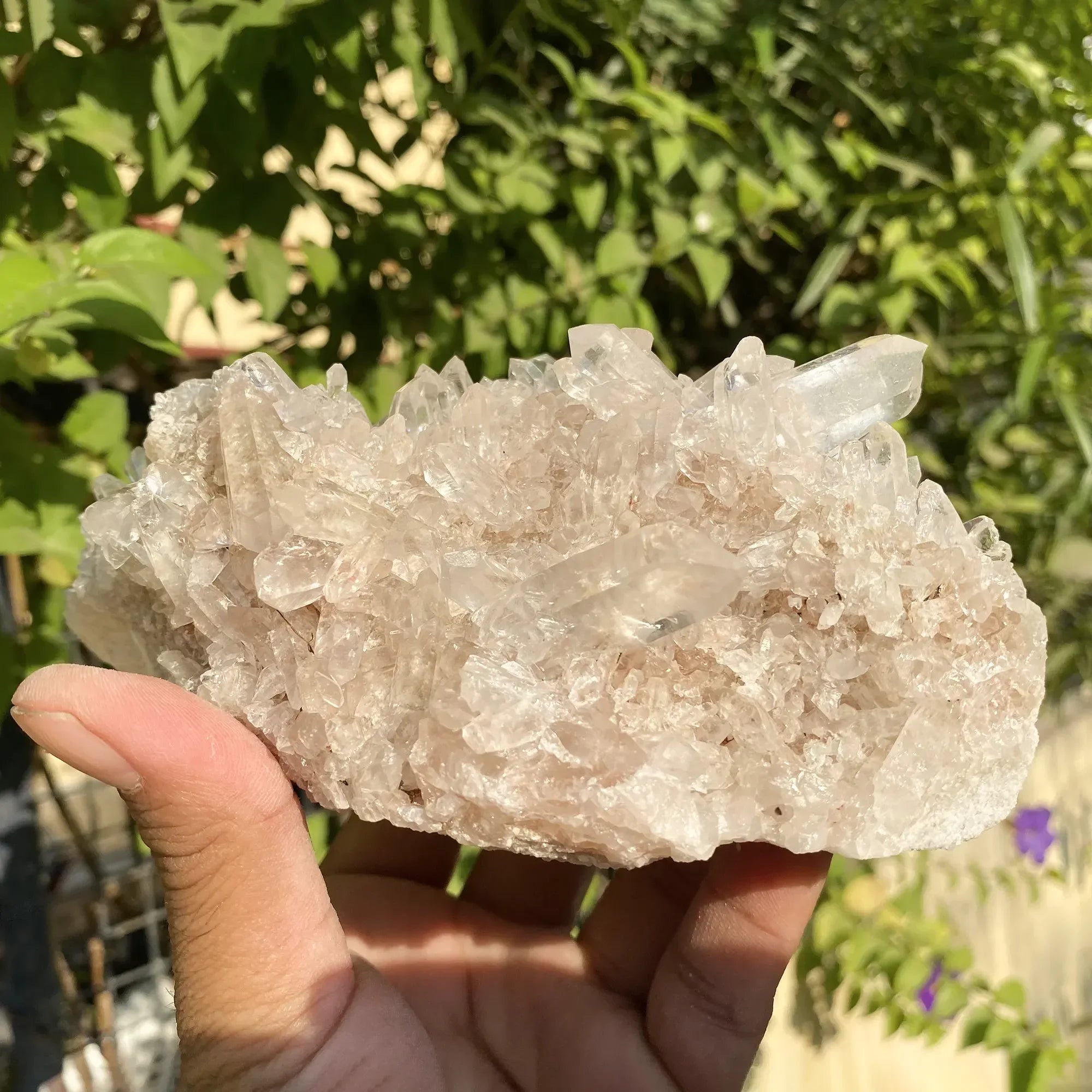 Natural Himalayan Pink Quartz Cluster 1025g Himalayan Quartz