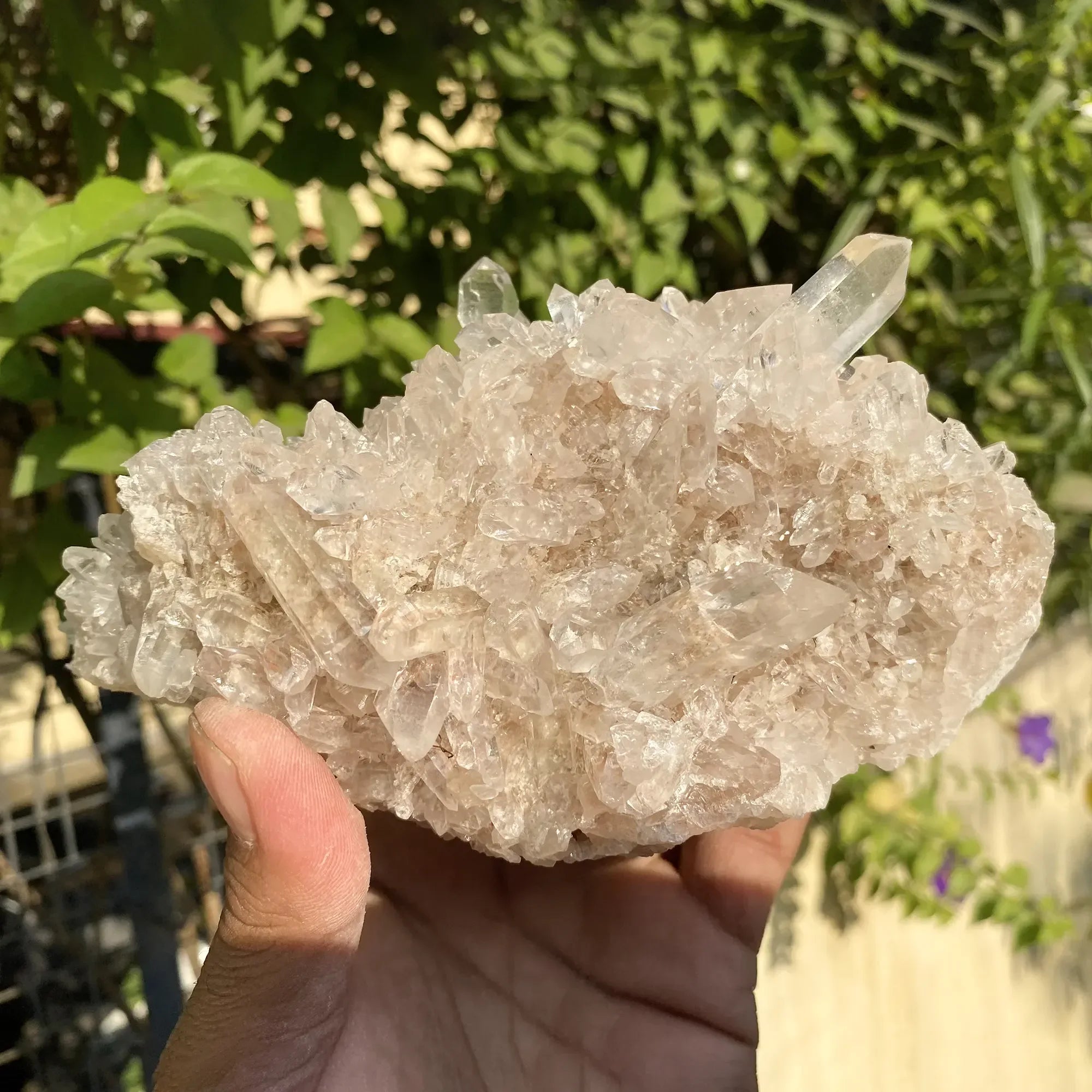 Natural Himalayan Pink Quartz Cluster 1025g Himalayan Quartz