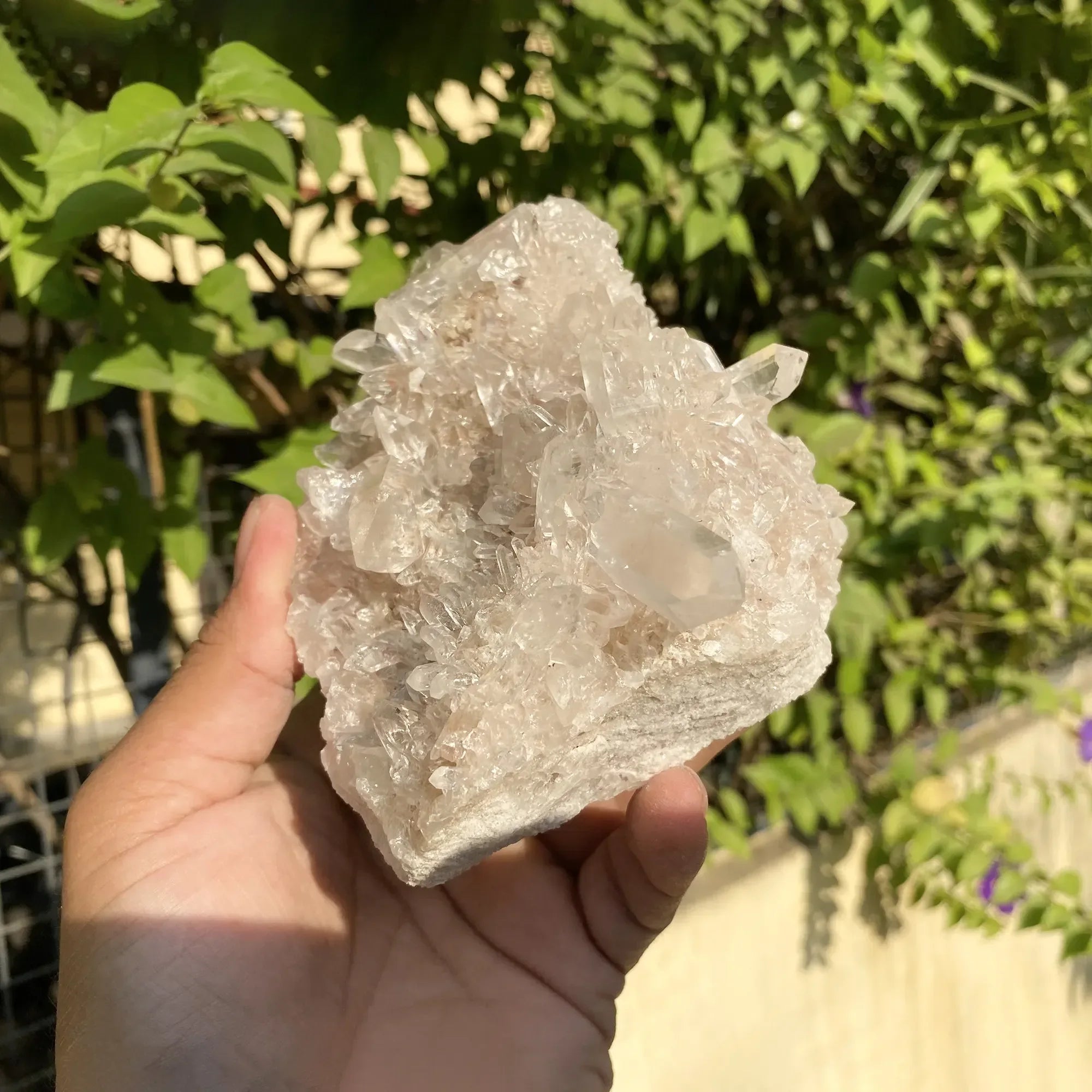 Natural Himalayan Pink Quartz Cluster 1025g Himalayan Quartz