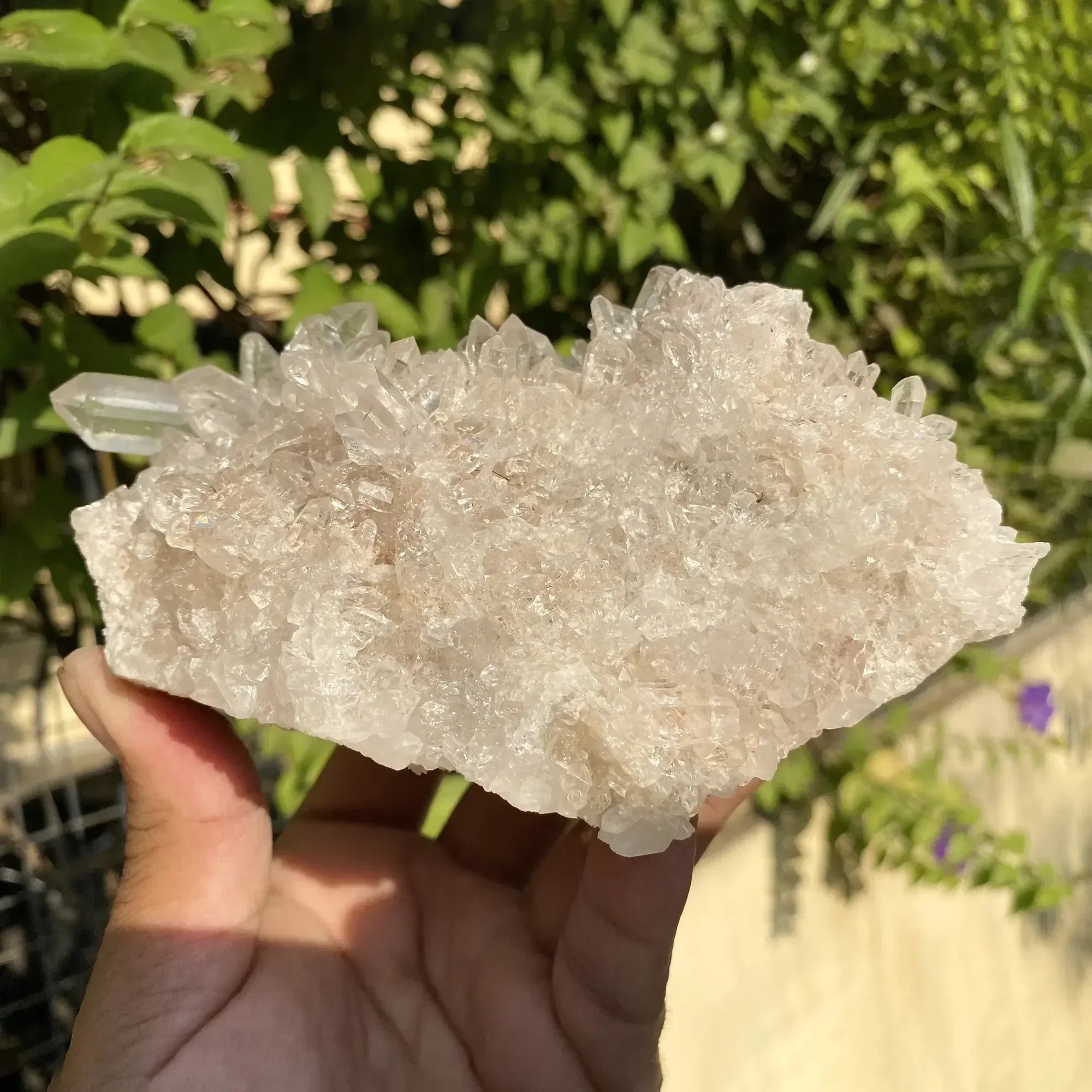 Natural Himalayan Pink Quartz Cluster 1025g Himalayan Quartz