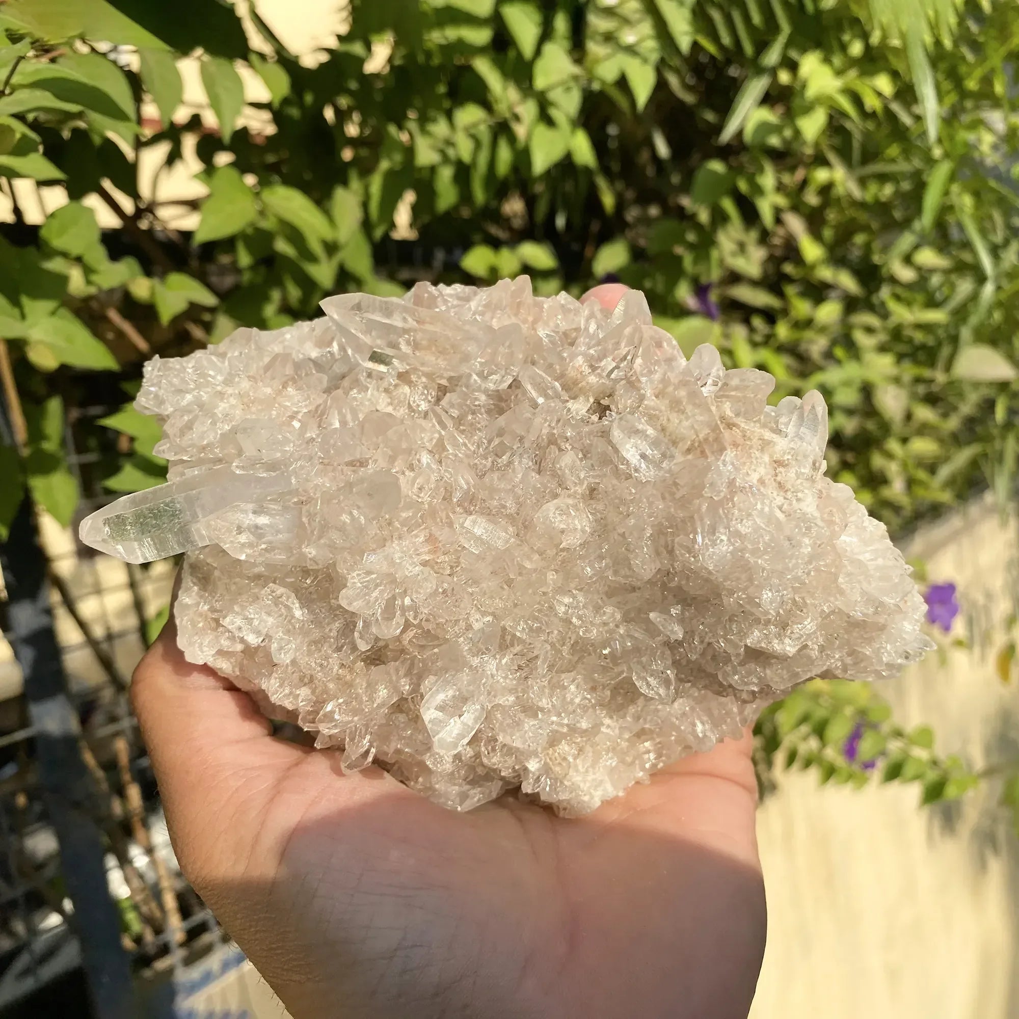 Natural Himalayan Pink Quartz Cluster 1025g Himalayan Quartz