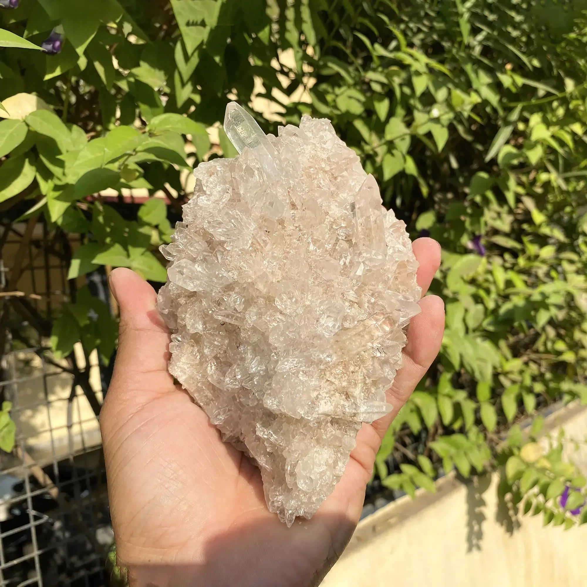 Natural Himalayan Pink Quartz Cluster 1025g Himalayan Quartz