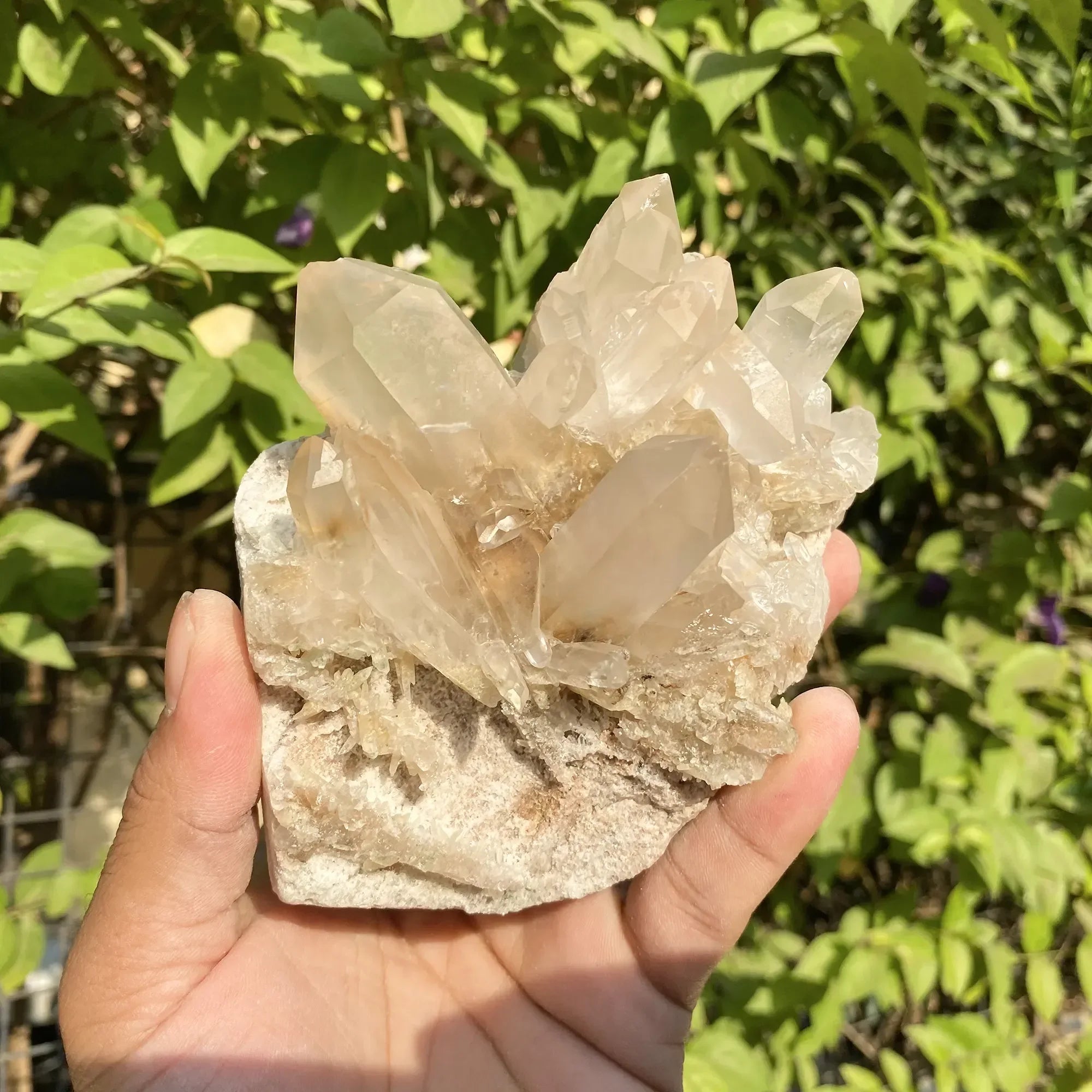 Natural Himalayan Pink Phantom Quartz Cluster 640g Himalayan Quartz