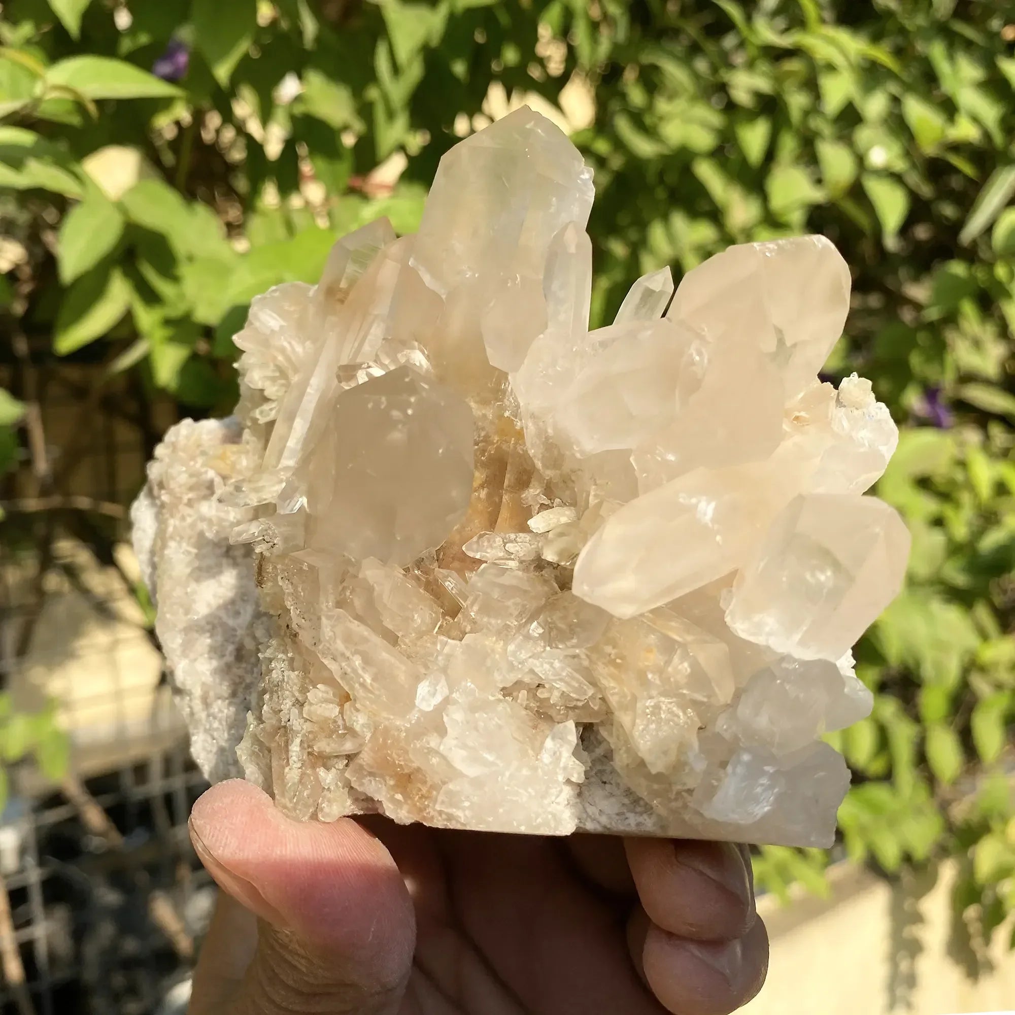 Natural Himalayan Pink Phantom Quartz Cluster 640g Himalayan Quartz