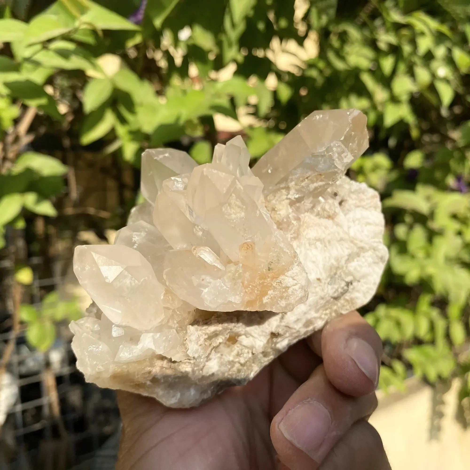 Natural Himalayan Pink Phantom Quartz Cluster 640g Himalayan Quartz