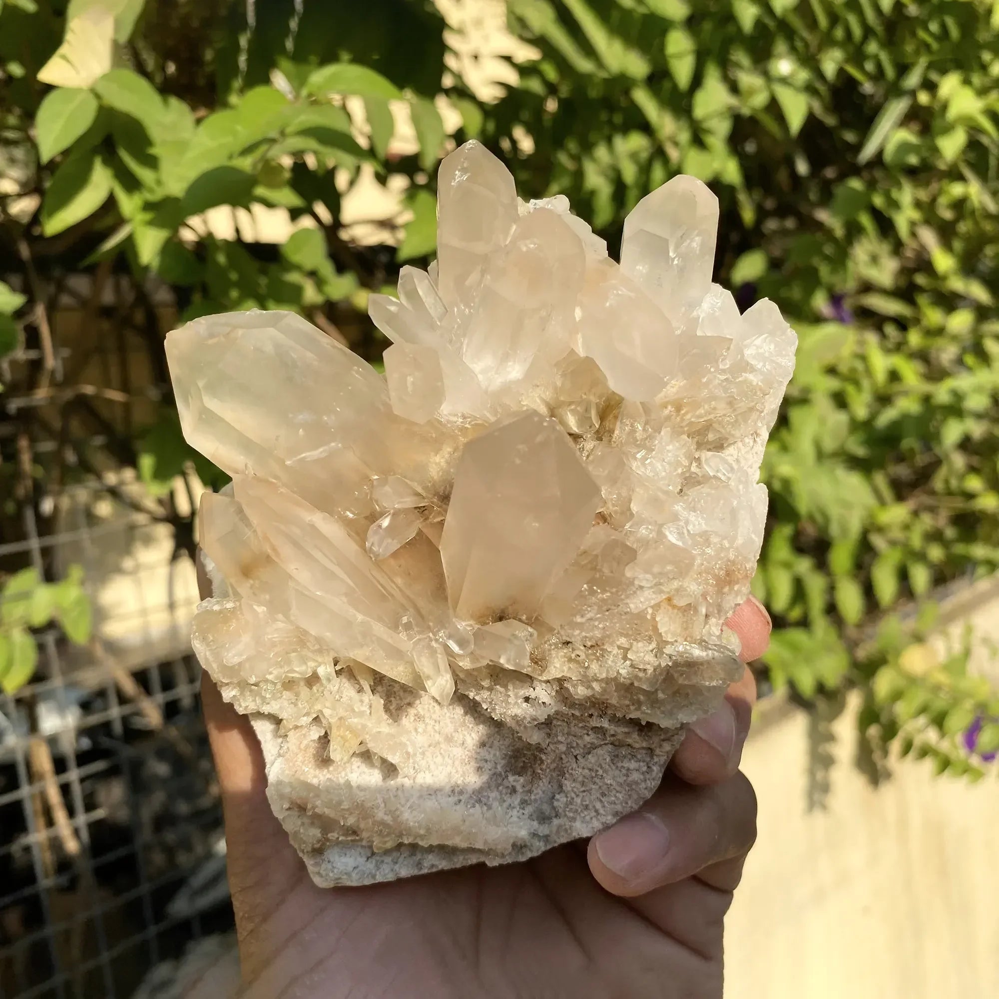 Natural Himalayan Pink Phantom Quartz Cluster 640g Himalayan Quartz