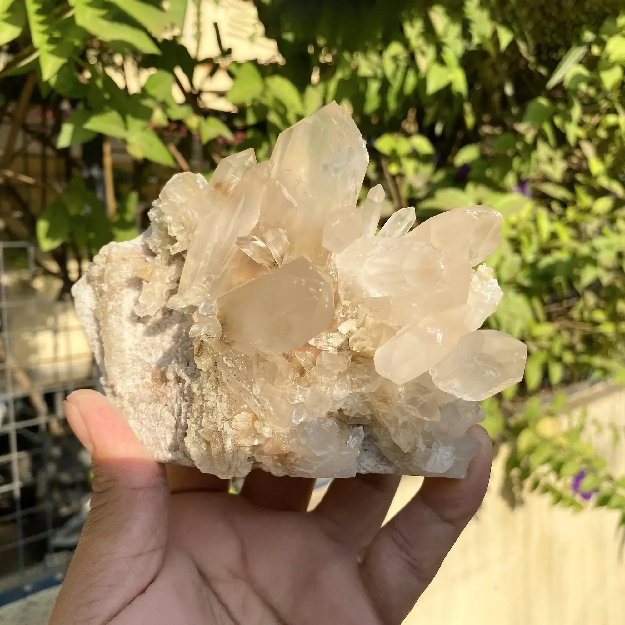 Natural Himalayan Pink Phantom Quartz Cluster 640g Himalayan Quartz