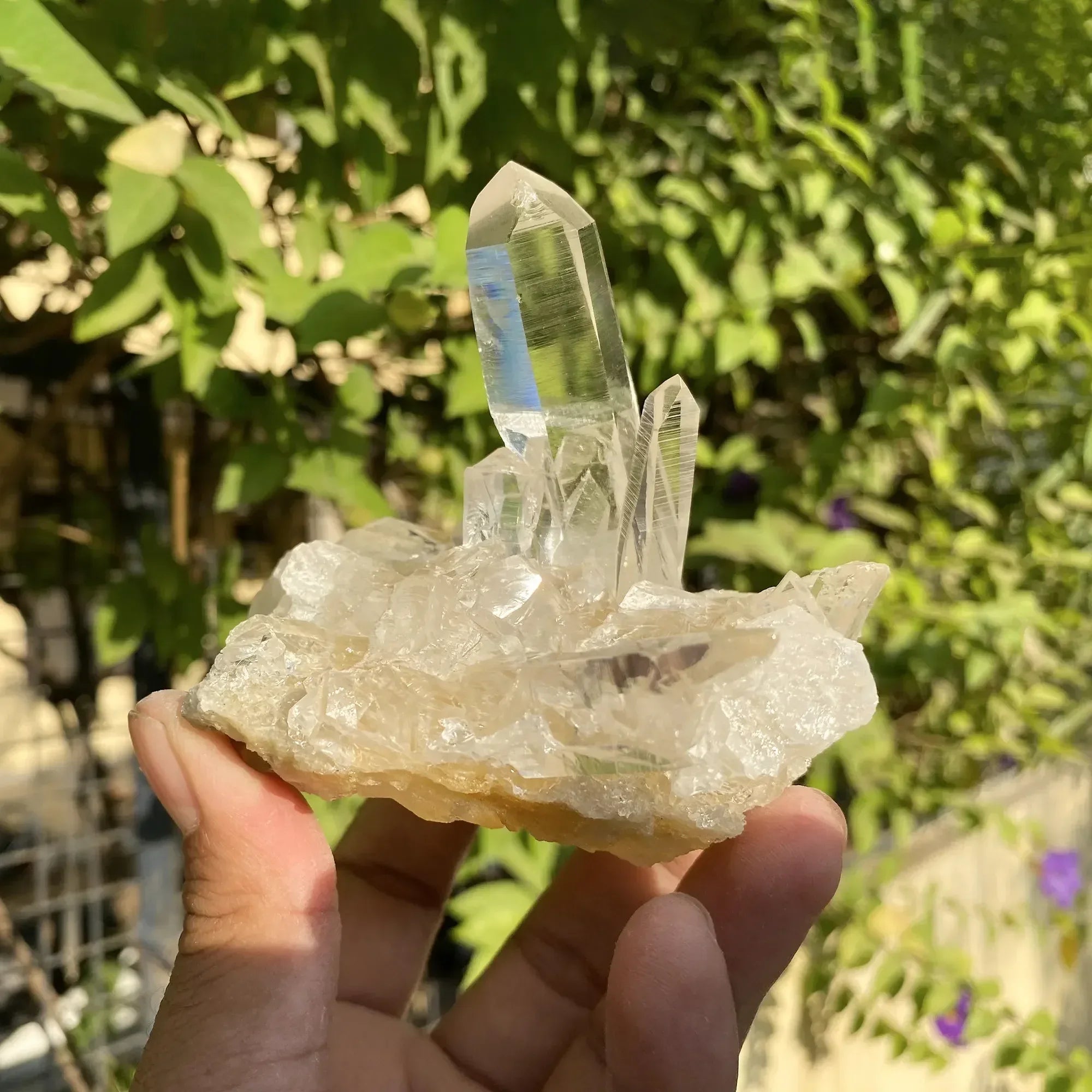 Natural Himalayan White & Yellow Quartz Cluster 310g Himalayan Quartz