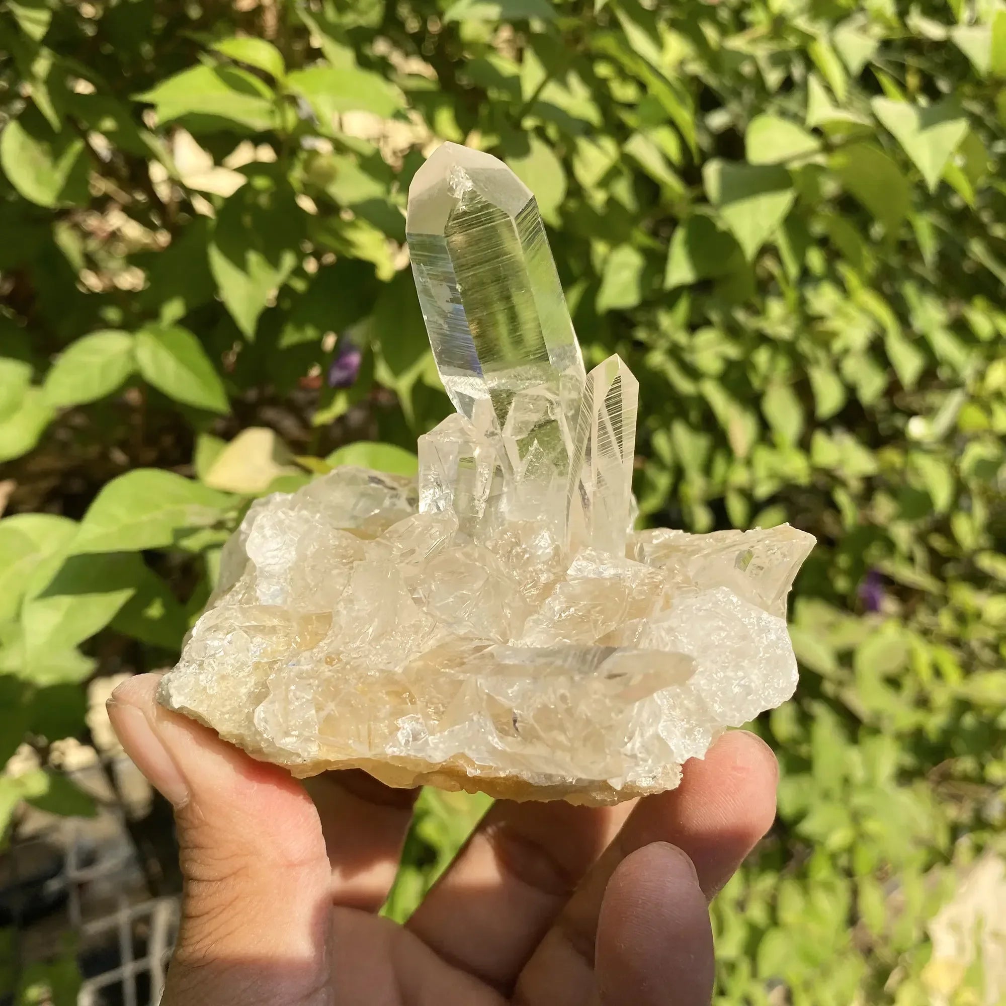 Natural Himalayan White & Yellow Quartz Cluster 310g Himalayan Quartz