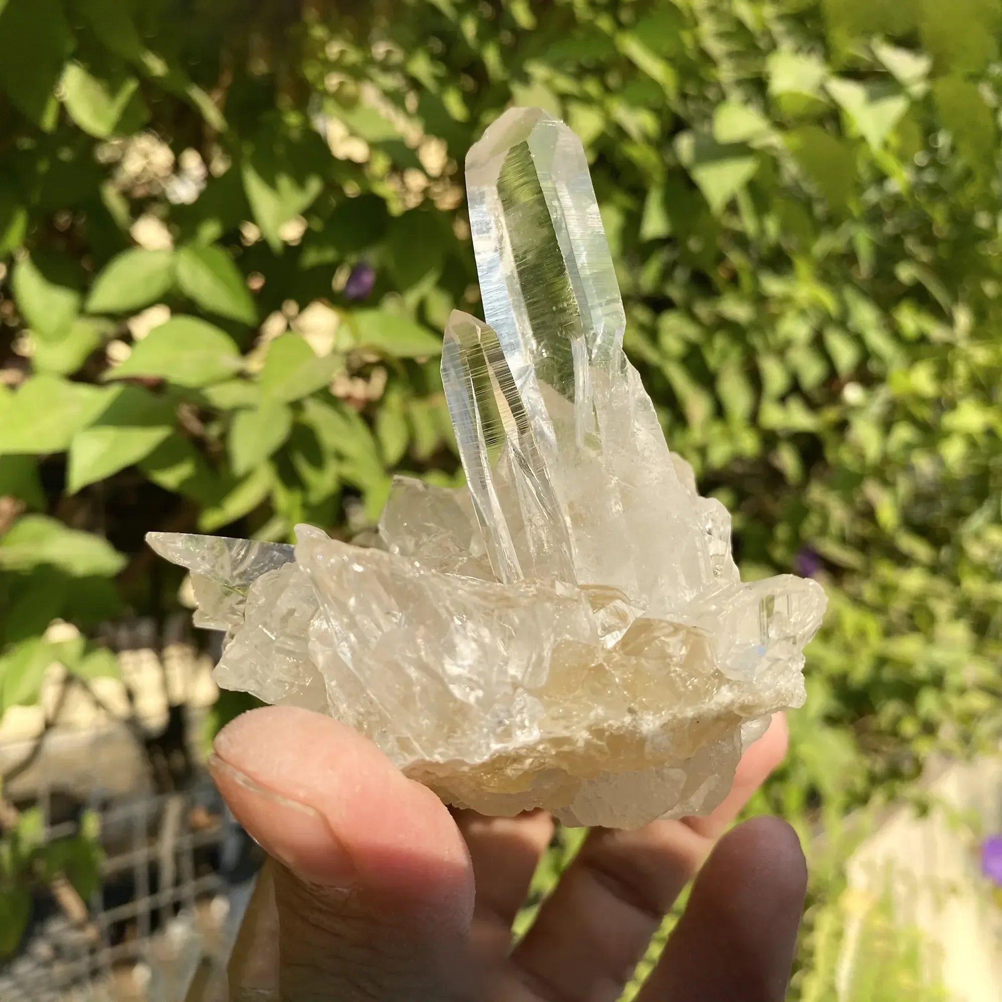 Natural Himalayan White & Yellow Quartz Cluster 310g Himalayan Quartz