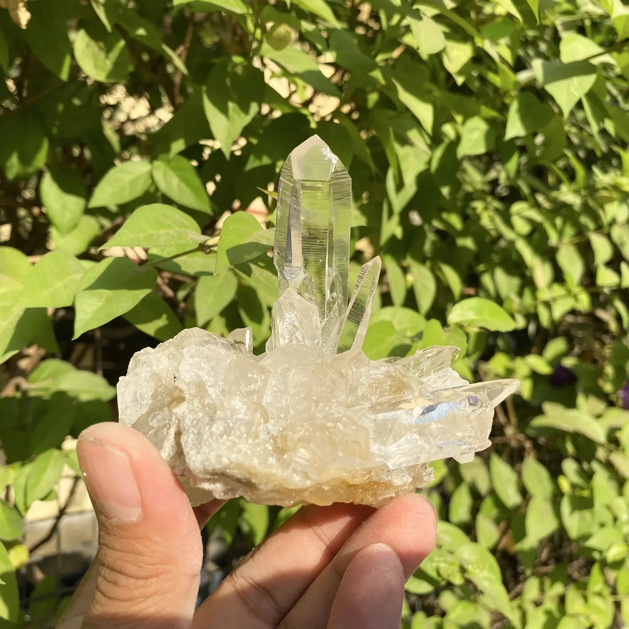 Natural Himalayan White & Yellow Quartz Cluster 310g Himalayan Quartz