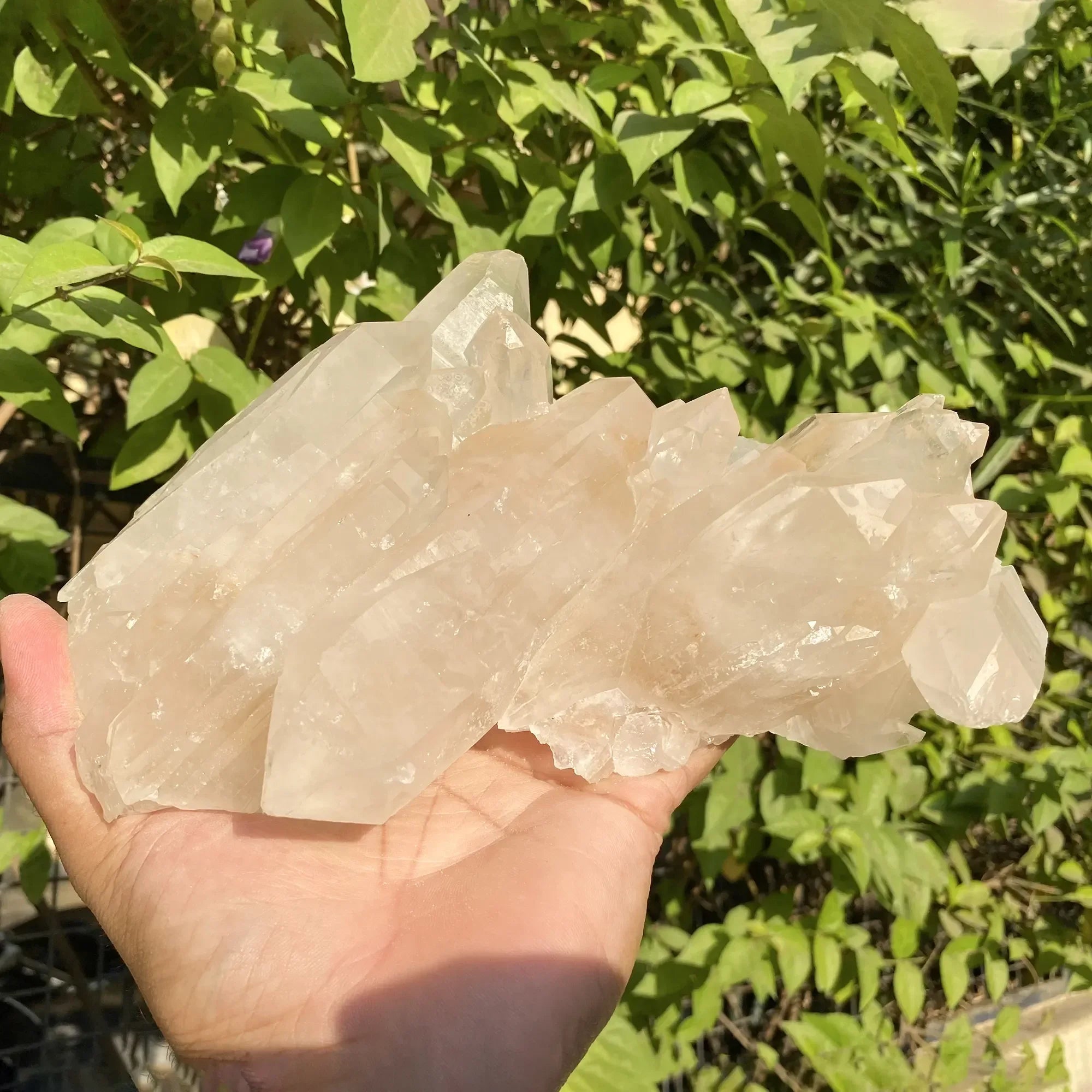 Natural Himalayan Pink Quartz Cluster 1555g Himalayan Quartz