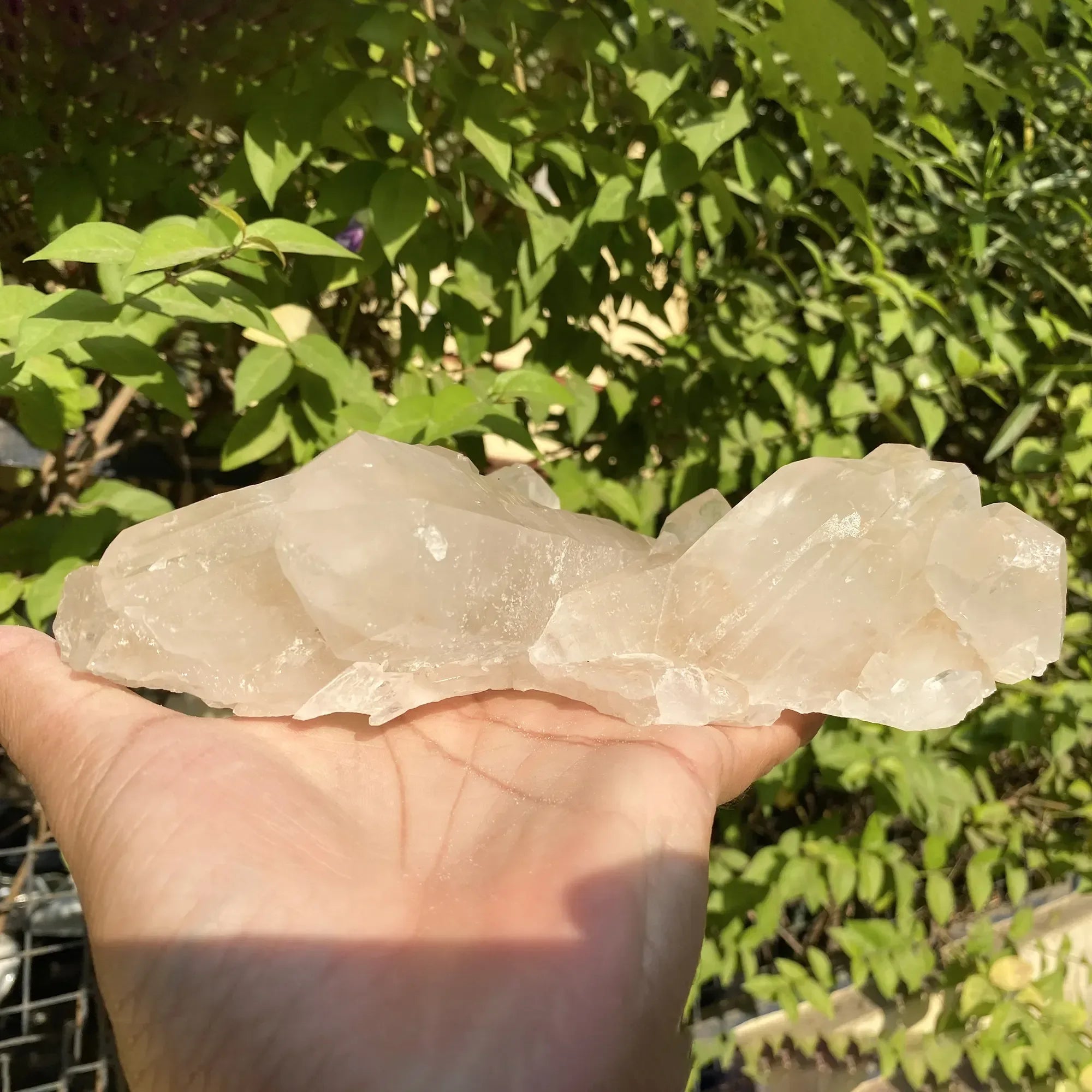 Natural Himalayan Pink Quartz Cluster 1555g Himalayan Quartz