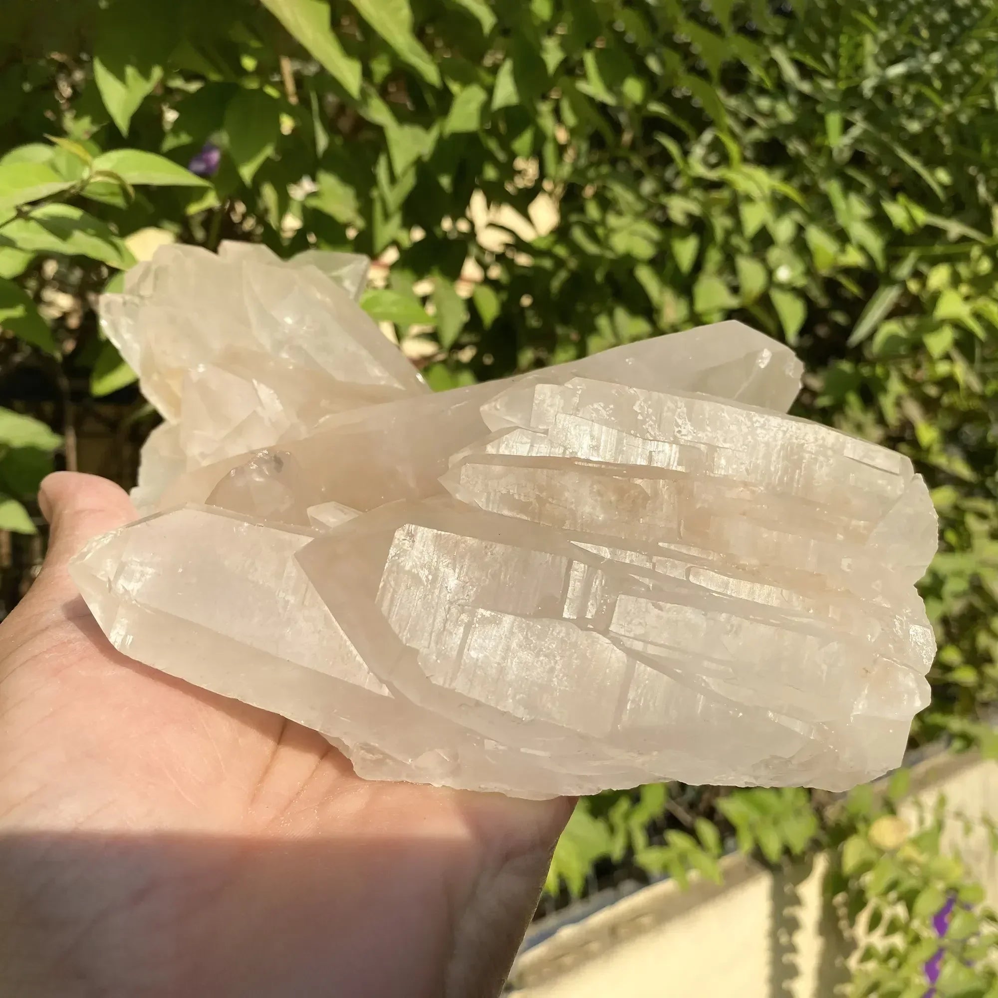 Natural Himalayan Pink Quartz Cluster 1555g Himalayan Quartz