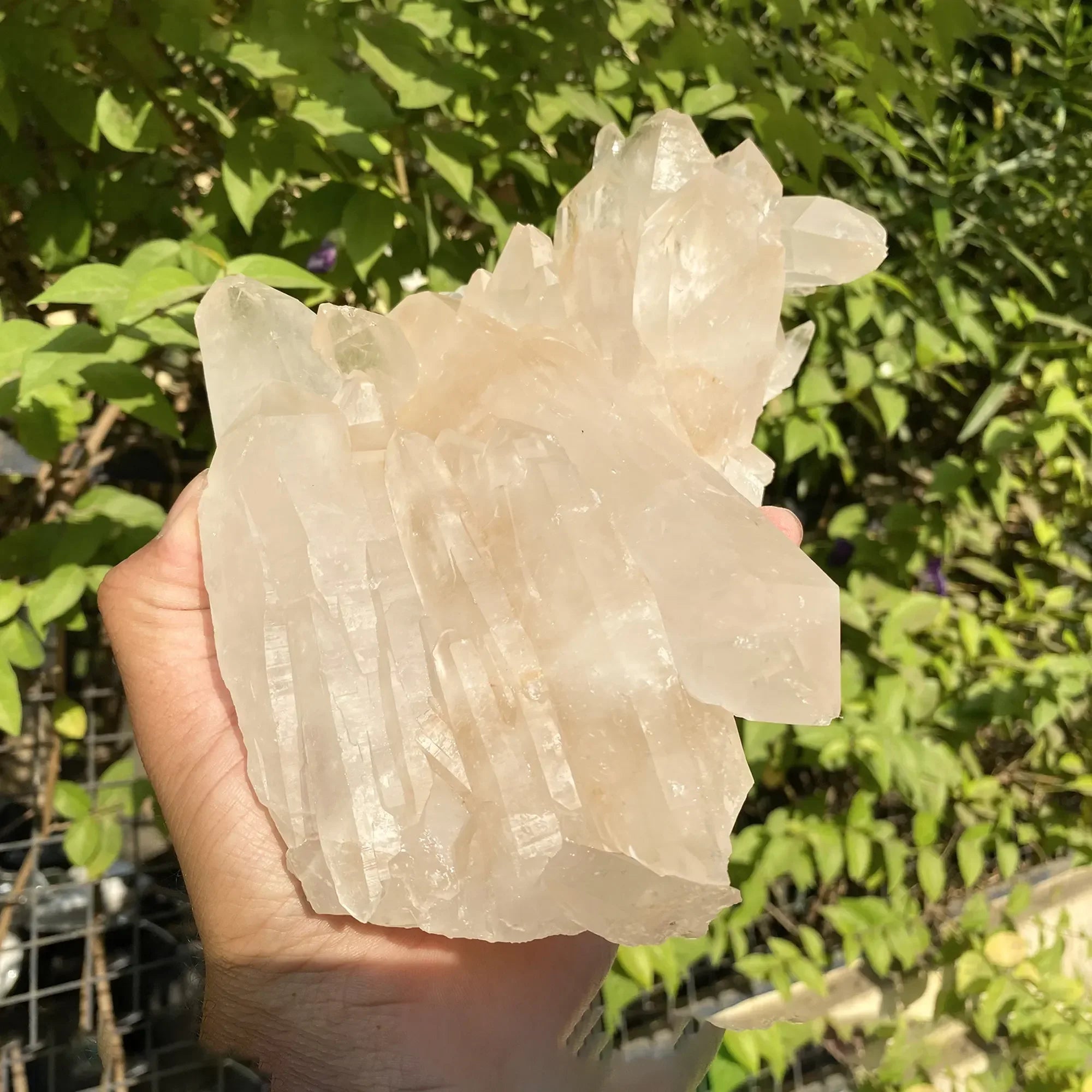 Natural Himalayan Pink Quartz Cluster 1555g Himalayan Quartz