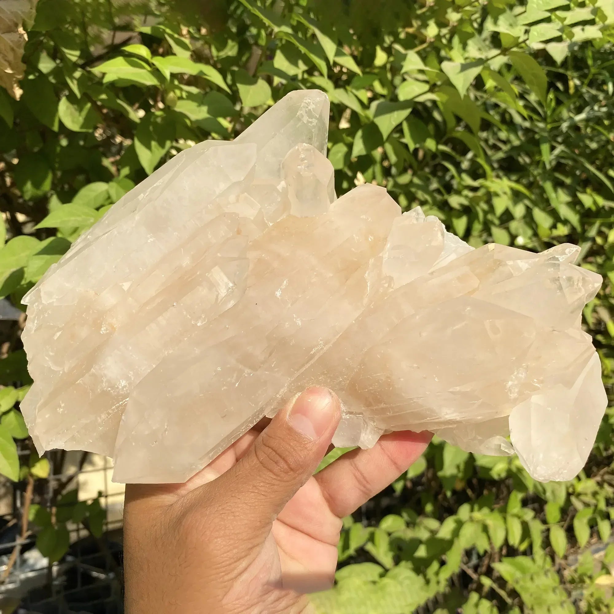 Natural Himalayan Pink Quartz Cluster 1555g Himalayan Quartz