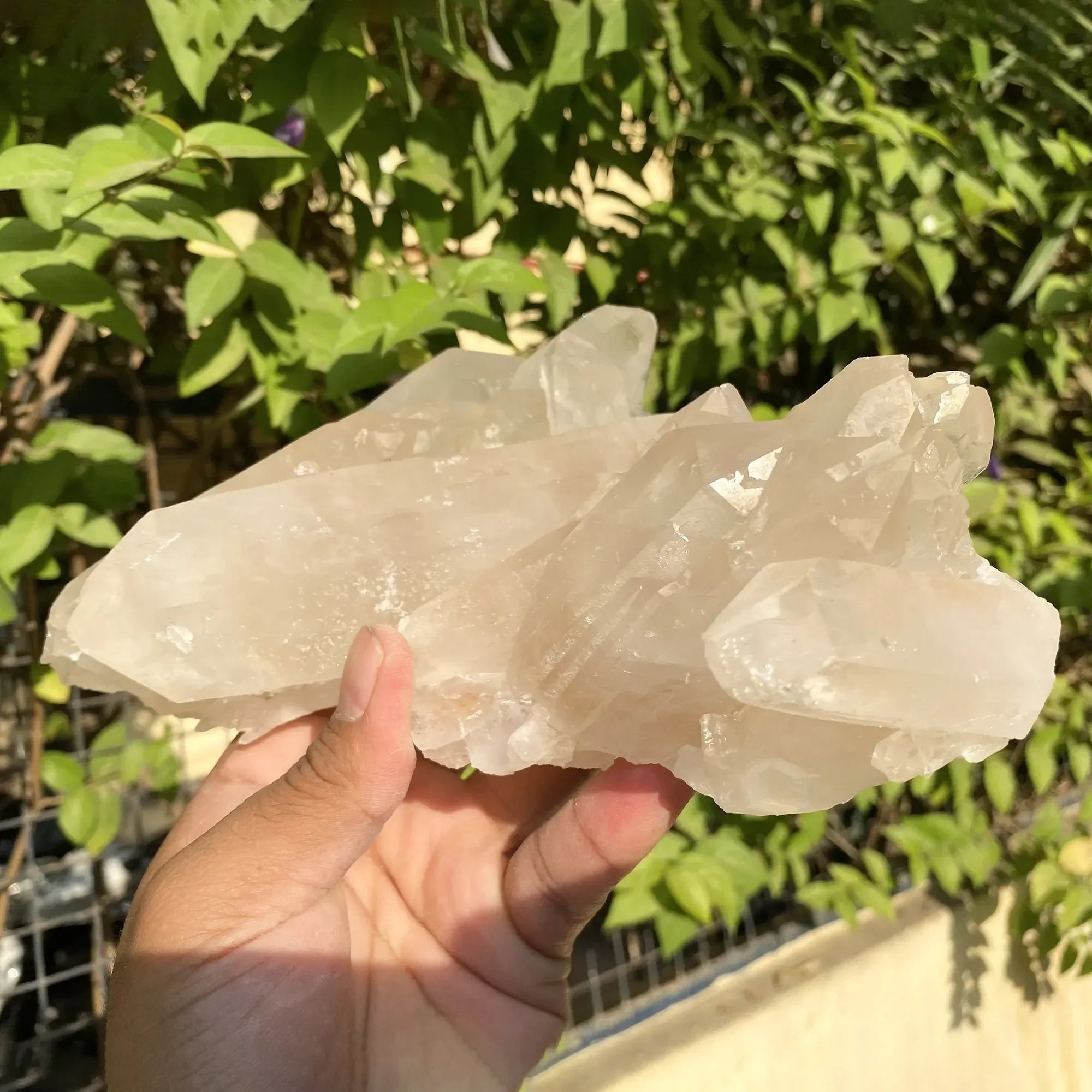 Natural Himalayan Pink Quartz Cluster 1555g Himalayan Quartz