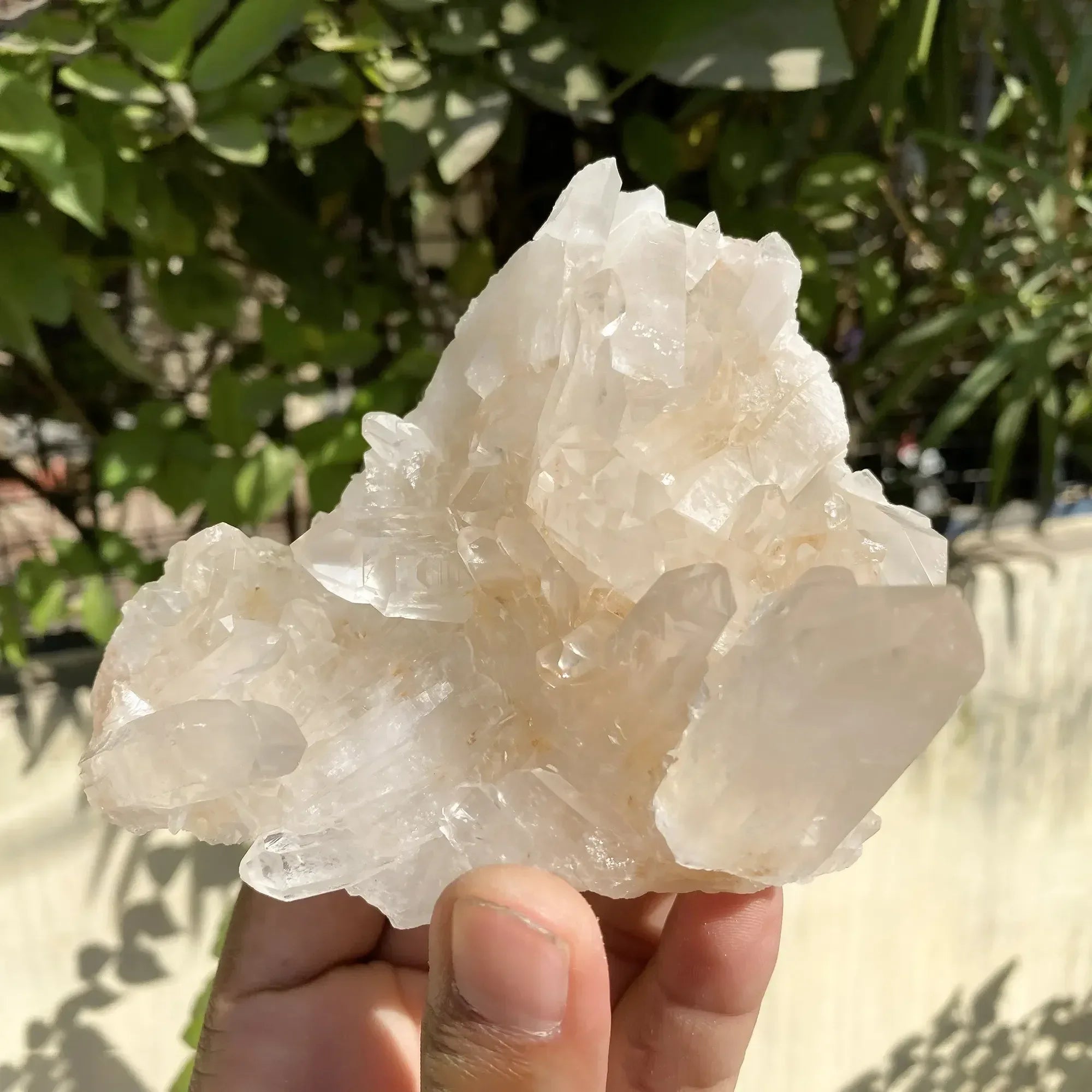 Natural Himalayan Pink Quartz Cluster 500g Himalayan Quartz