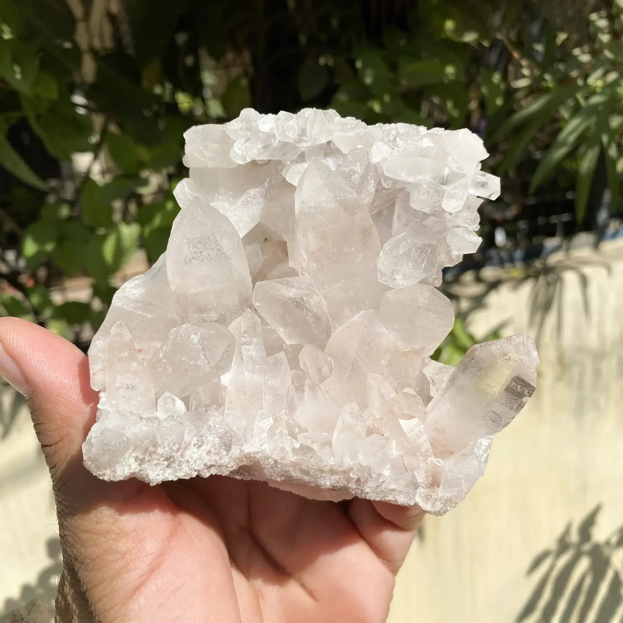 Natural Himalayan Pink Quartz Cluster 445g Himalayan Quartz
