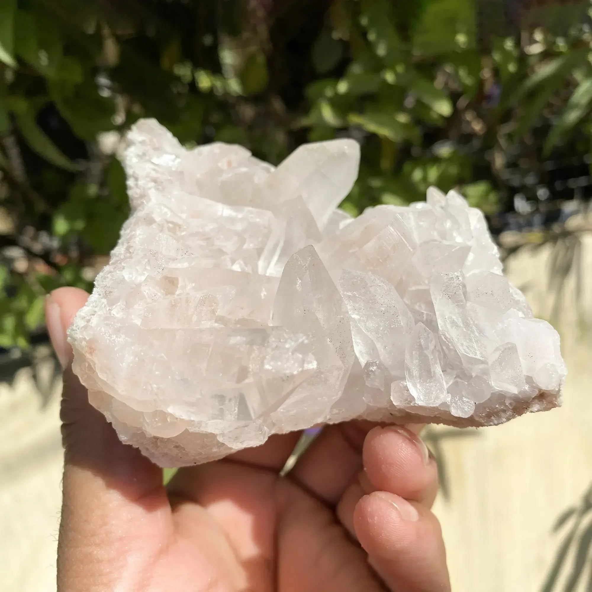 Natural Himalayan Pink Quartz Cluster 445g Himalayan Quartz