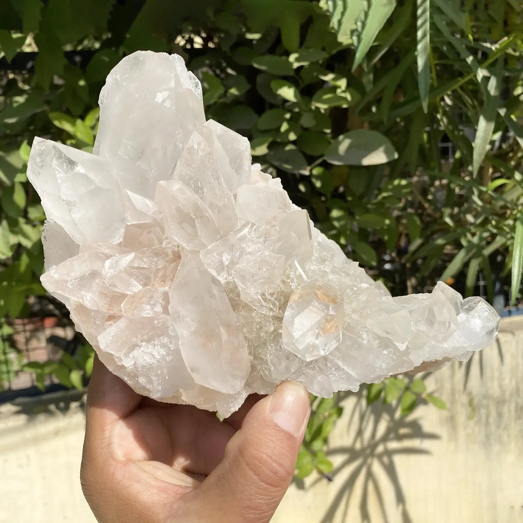 Natural Himalayan Pink Quartz Cluster 1785g Himalayan Quartz