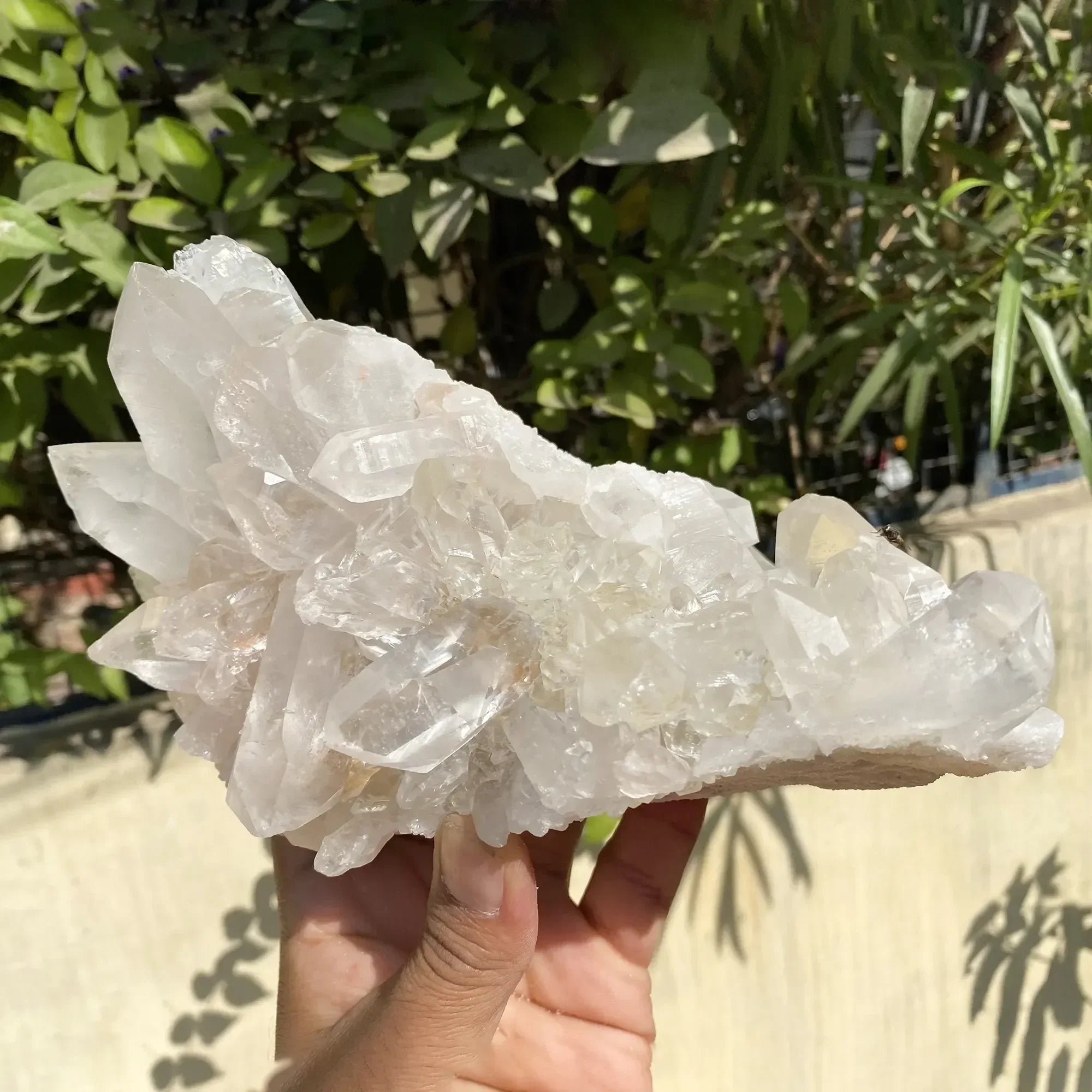 Natural Himalayan Pink Quartz Cluster 1785g Himalayan Quartz