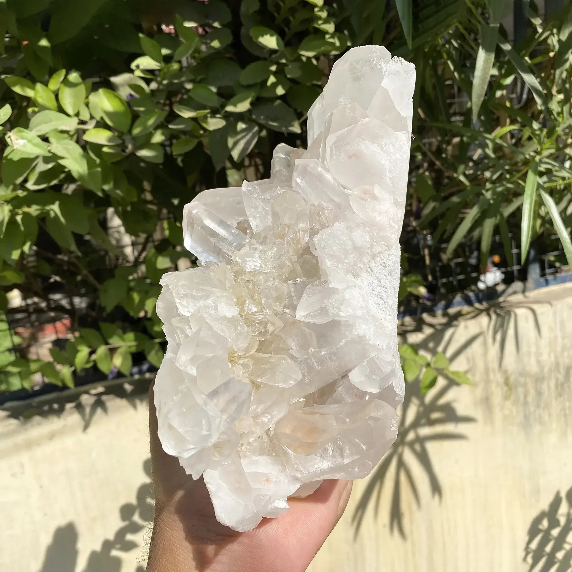 Natural Himalayan Pink Quartz Cluster 1785g Himalayan Quartz
