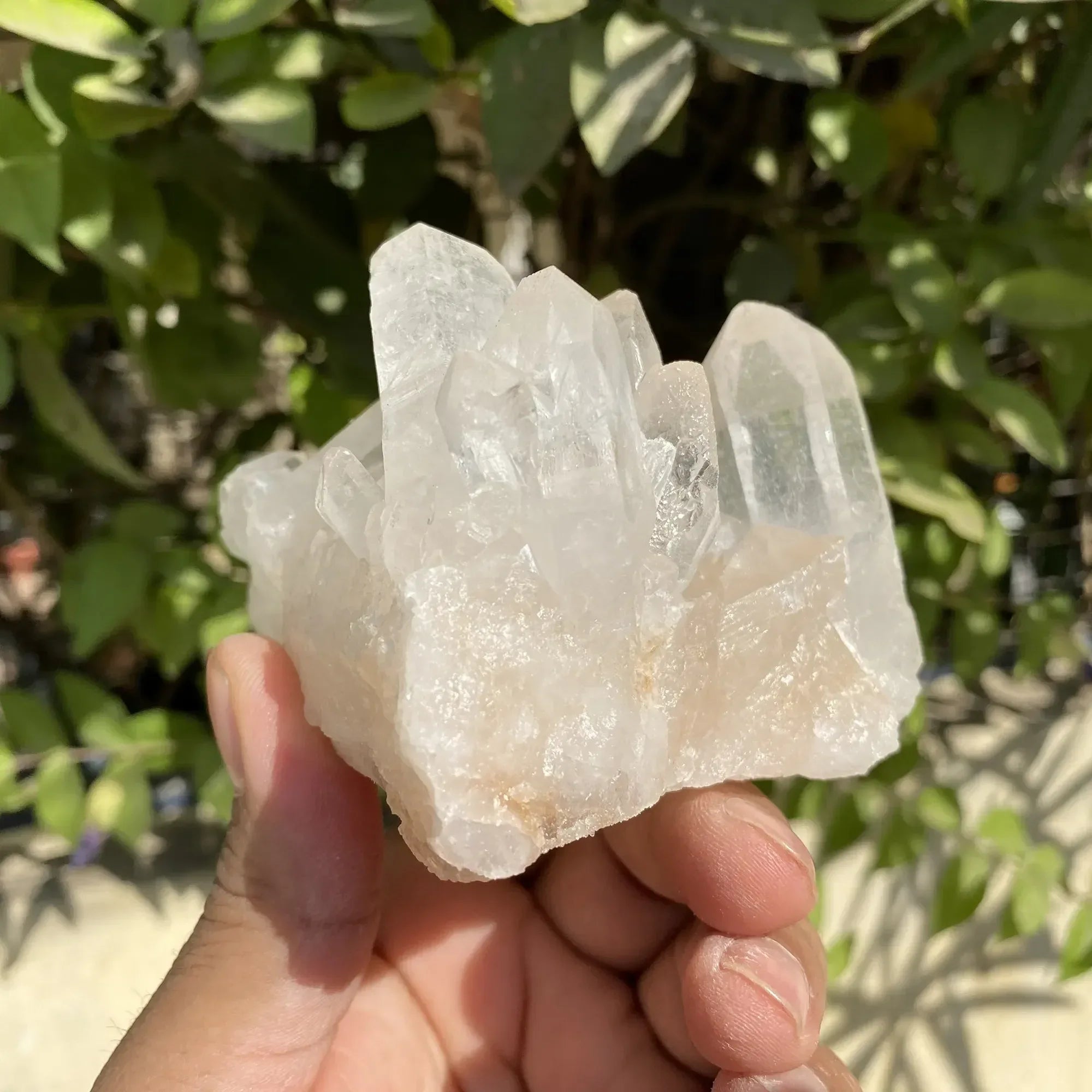 Natural Himalayan White Phantom Quartz Cluster 430g Himalayan Quartz