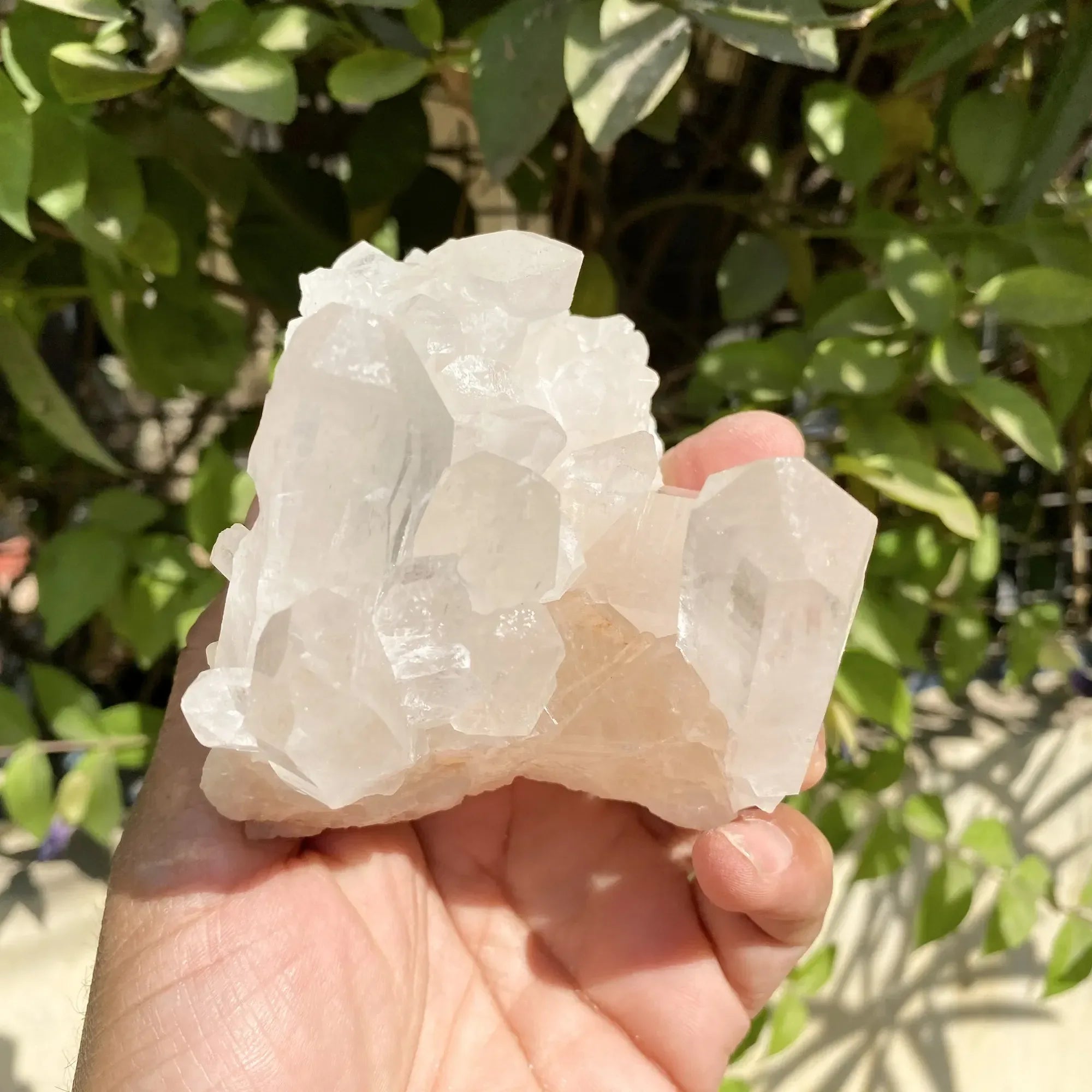 Natural Himalayan White Phantom Quartz Cluster 430g Himalayan Quartz