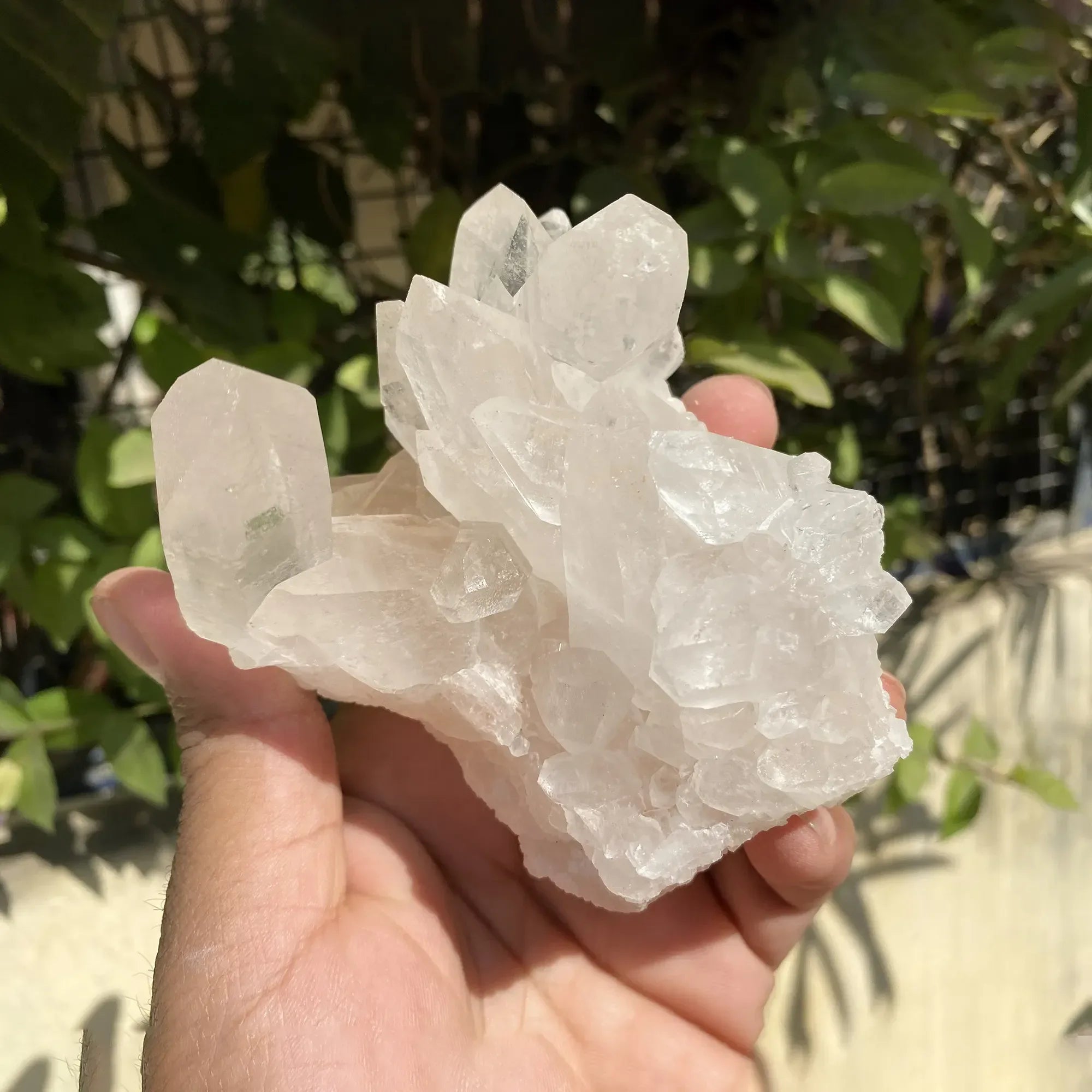 Natural Himalayan White Phantom Quartz Cluster 430g Himalayan Quartz