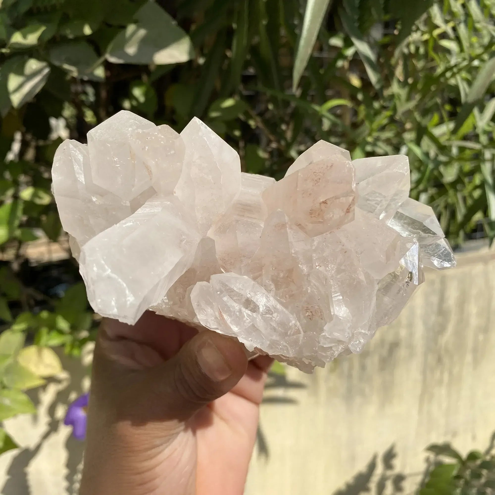 Natural Himalayan Pink Quartz Cluster 910g Himalayan Quartz