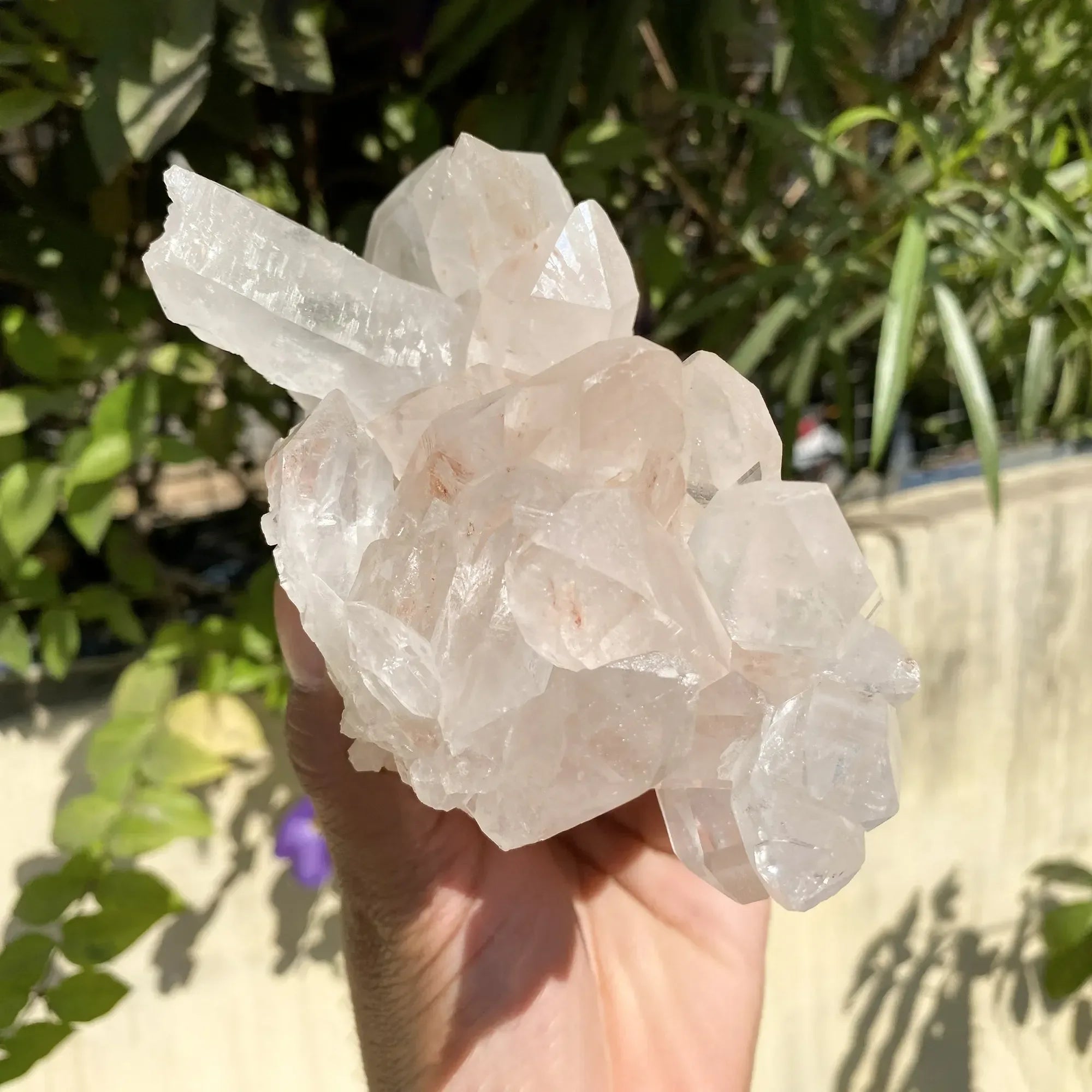 Natural Himalayan Pink Quartz Cluster 910g Himalayan Quartz