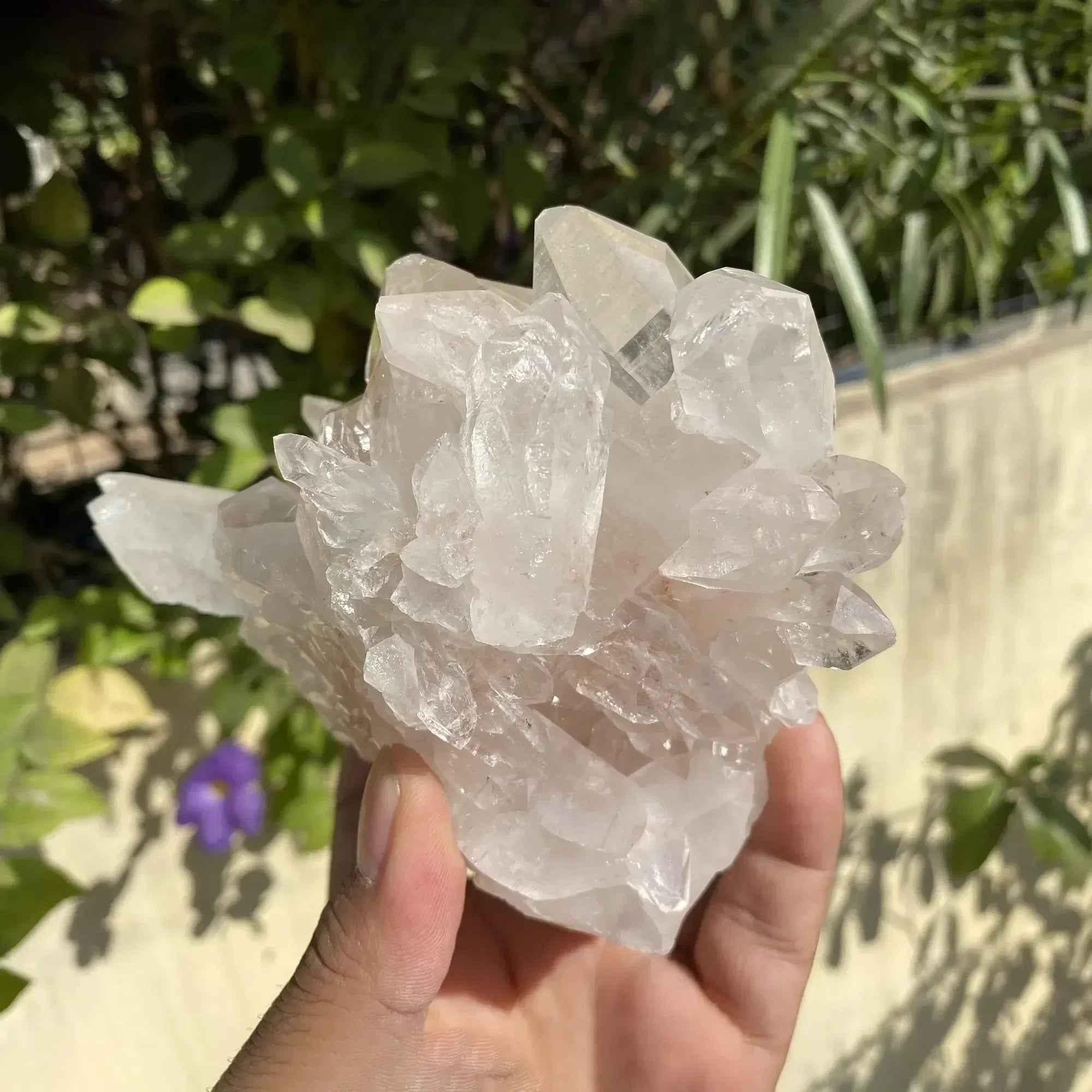 Natural Himalayan Pink Quartz Cluster 910g Himalayan Quartz