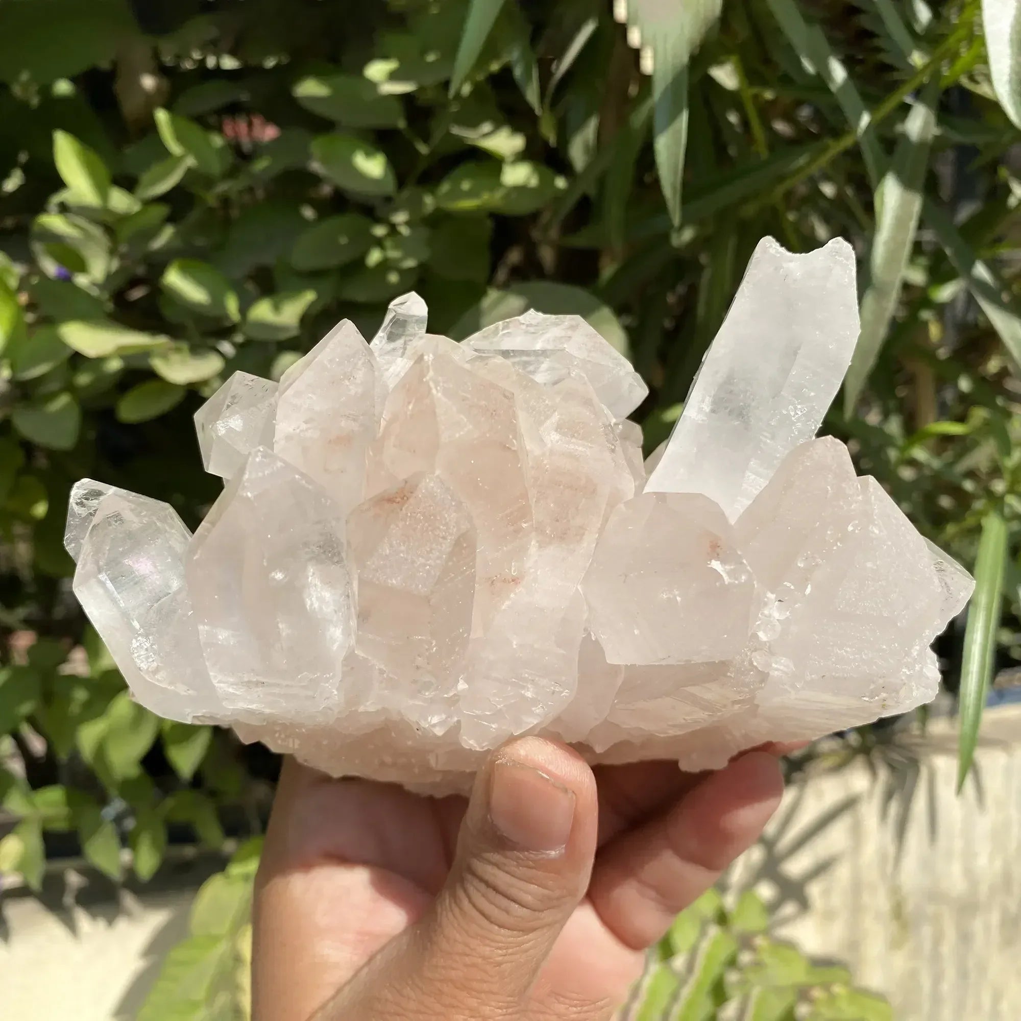 Natural Himalayan Pink Quartz Cluster 910g Himalayan Quartz