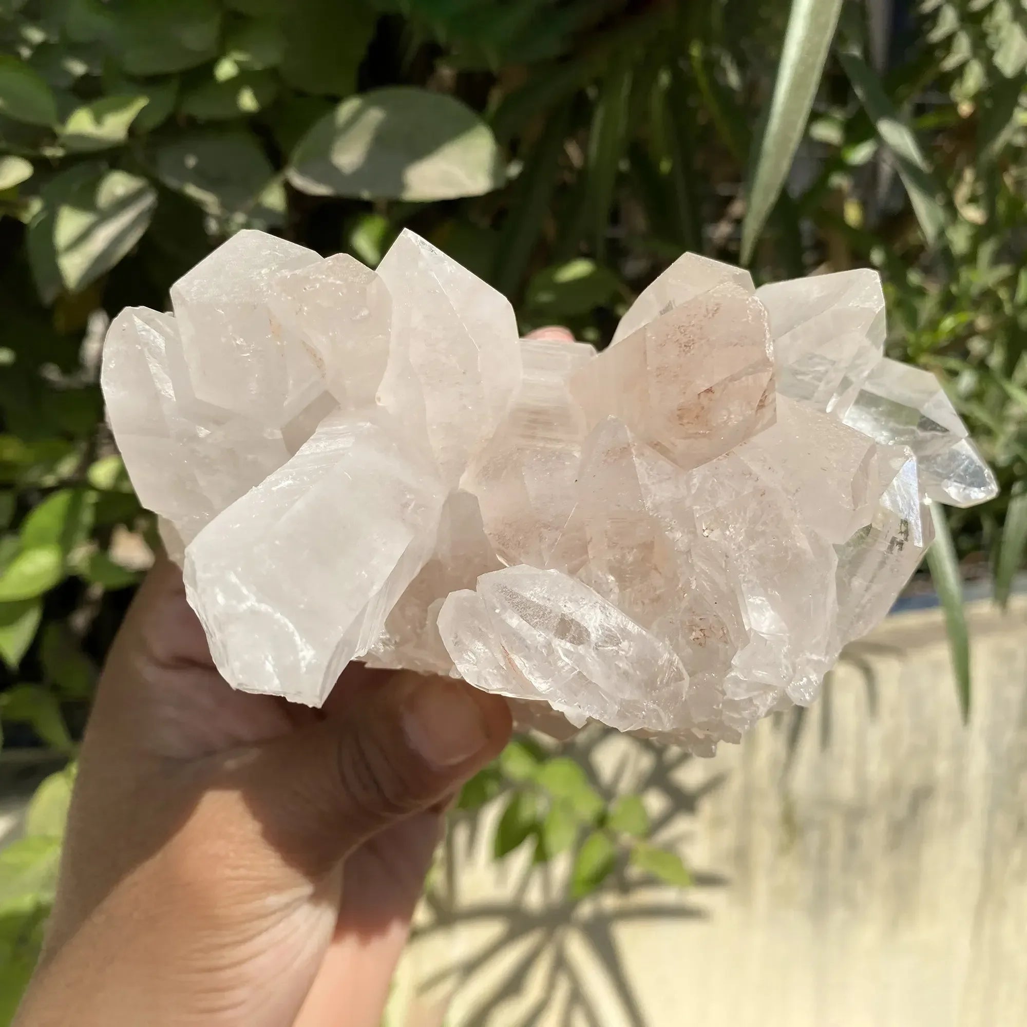 Natural Himalayan Pink Quartz Cluster 910g Himalayan Quartz
