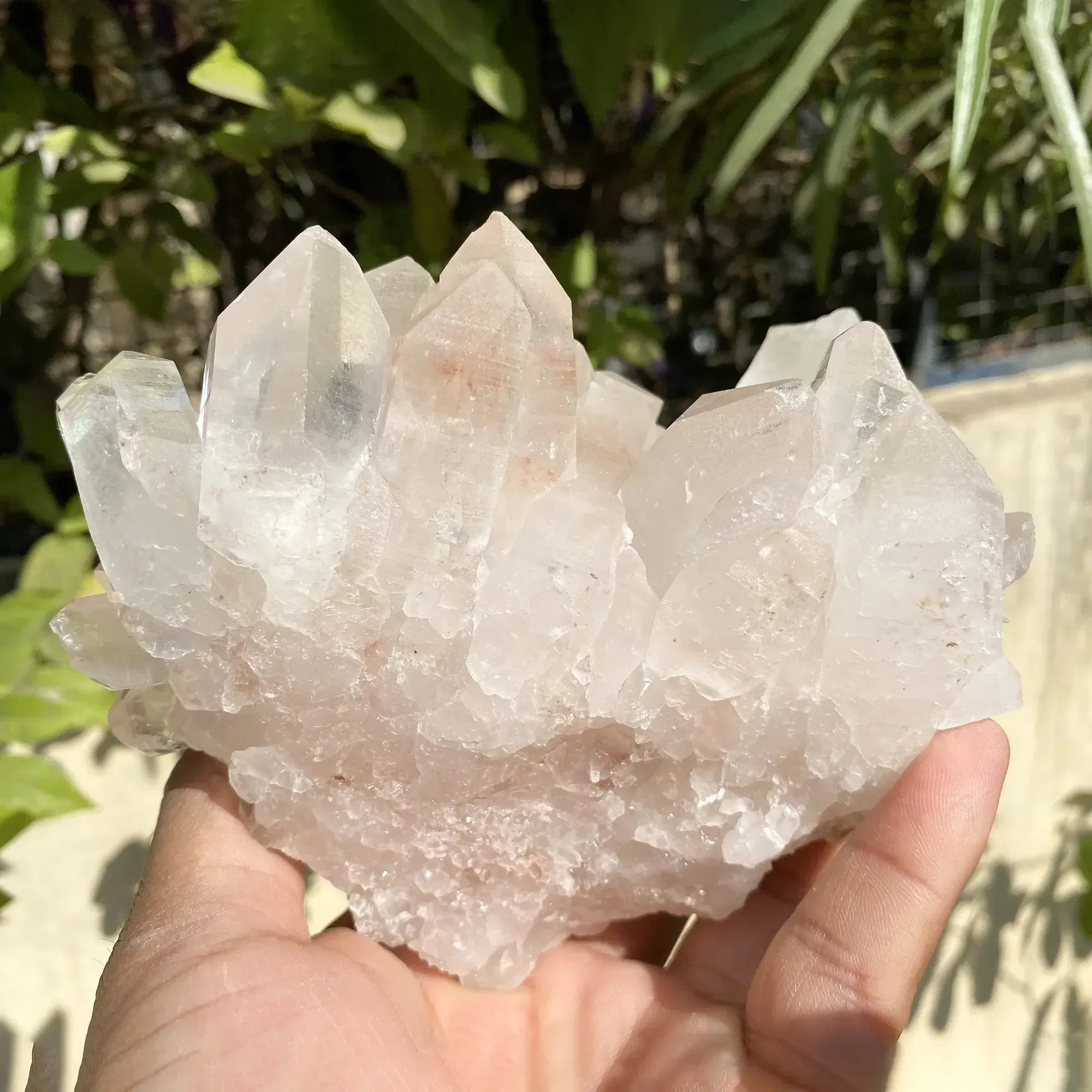 Natural Himalayan Pink Quartz Cluster 910g Himalayan Quartz