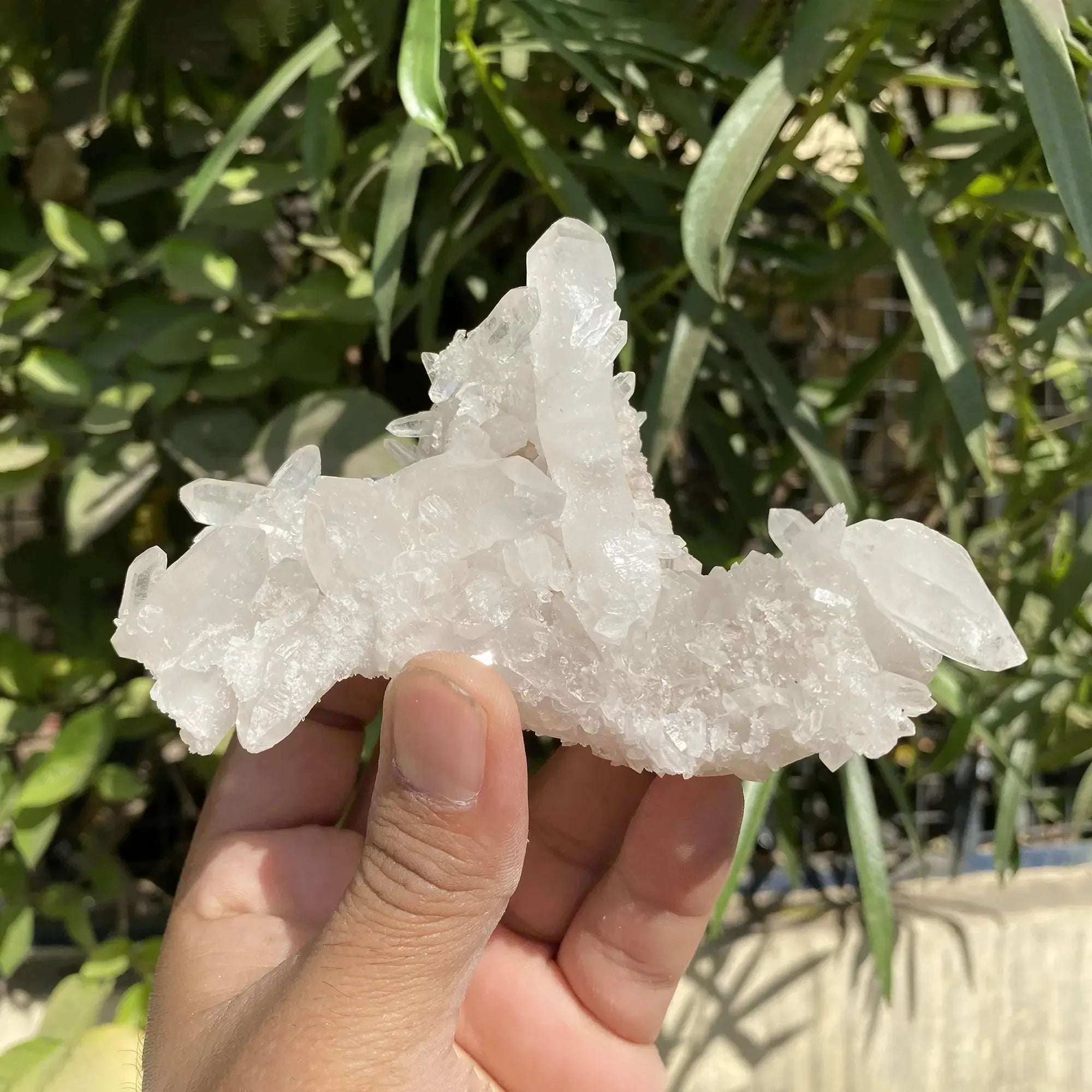 Natural Himalayan White Quartz Cluster 195g Himalayan Quartz