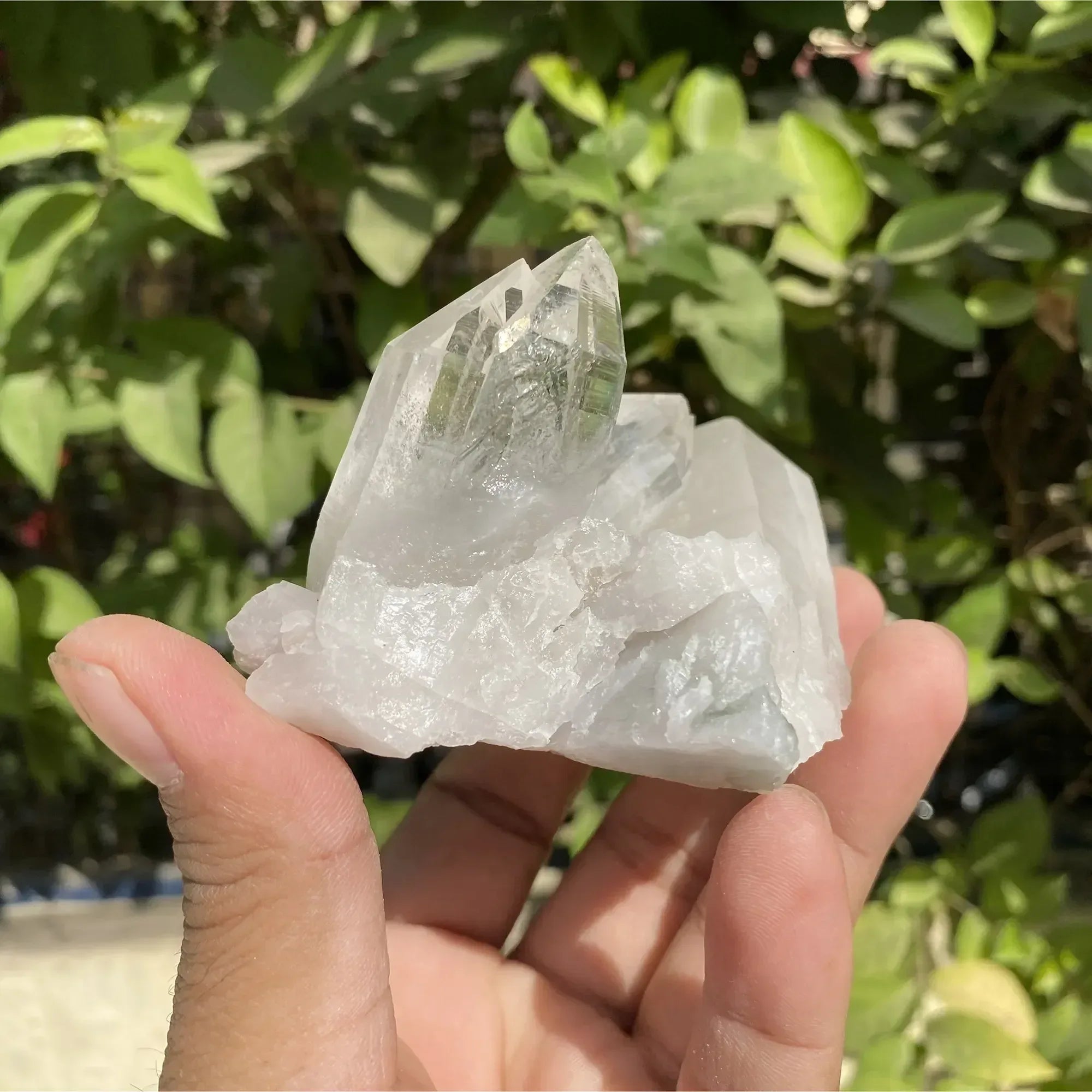 Natural Himalayan White Quartz Cluster 245g Himalayan Quartz