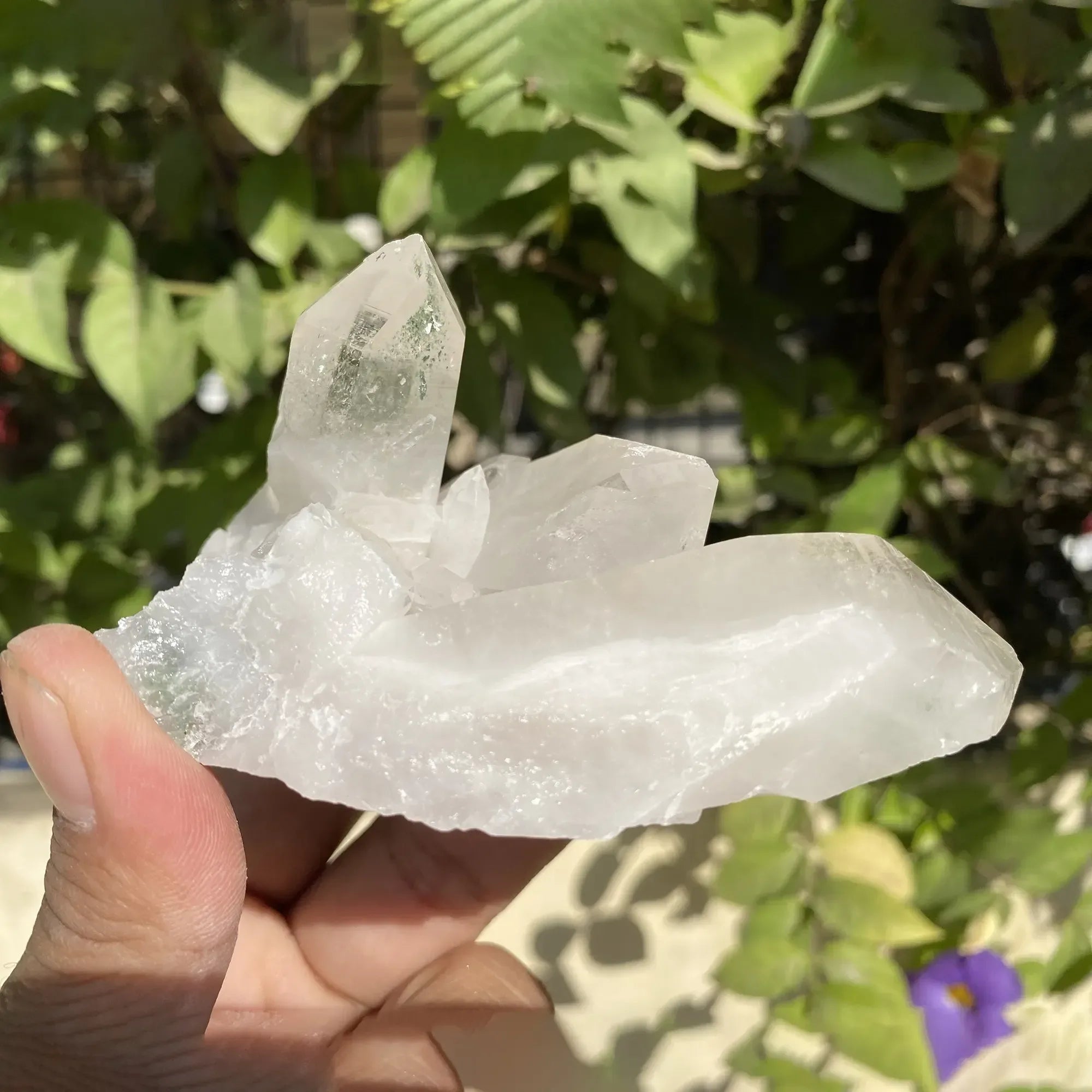 Natural Himalayan White Quartz Cluster 245g Himalayan Quartz
