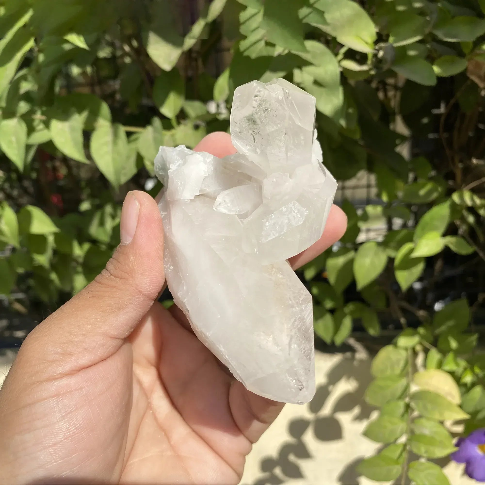 Natural Himalayan White Quartz Cluster 245g Himalayan Quartz