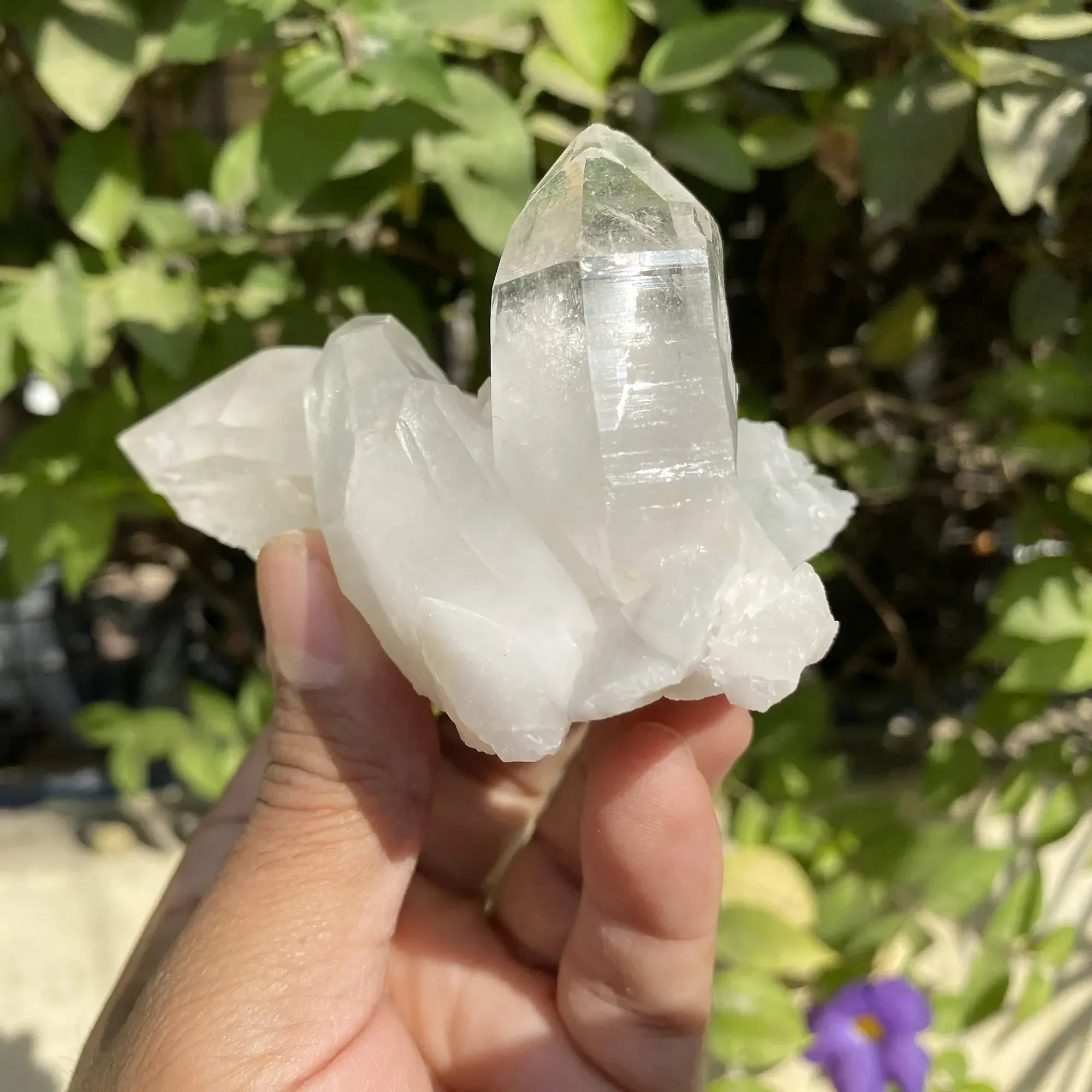 Natural Himalayan White Quartz Cluster 245g Himalayan Quartz
