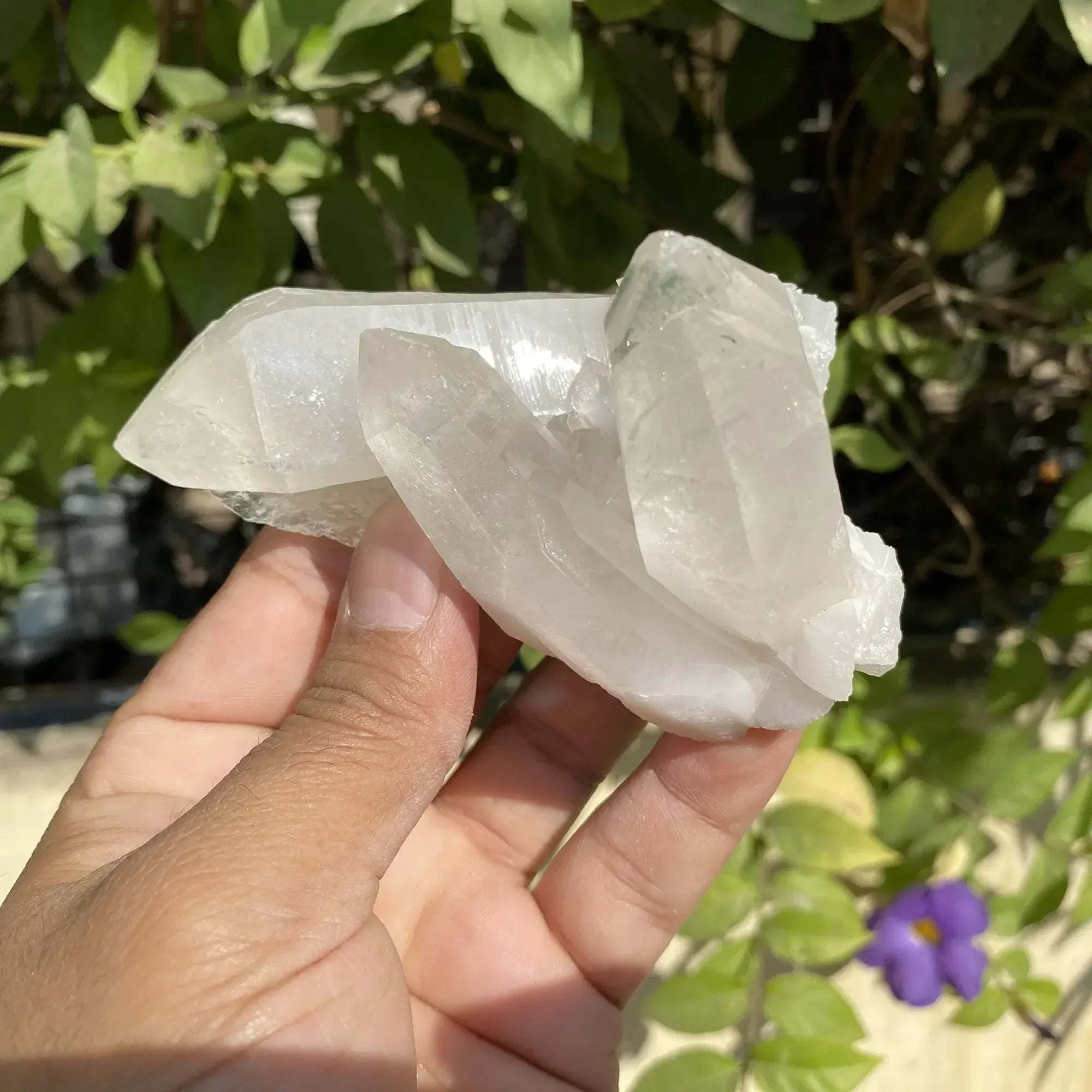 Natural Himalayan White Quartz Cluster 245g Himalayan Quartz