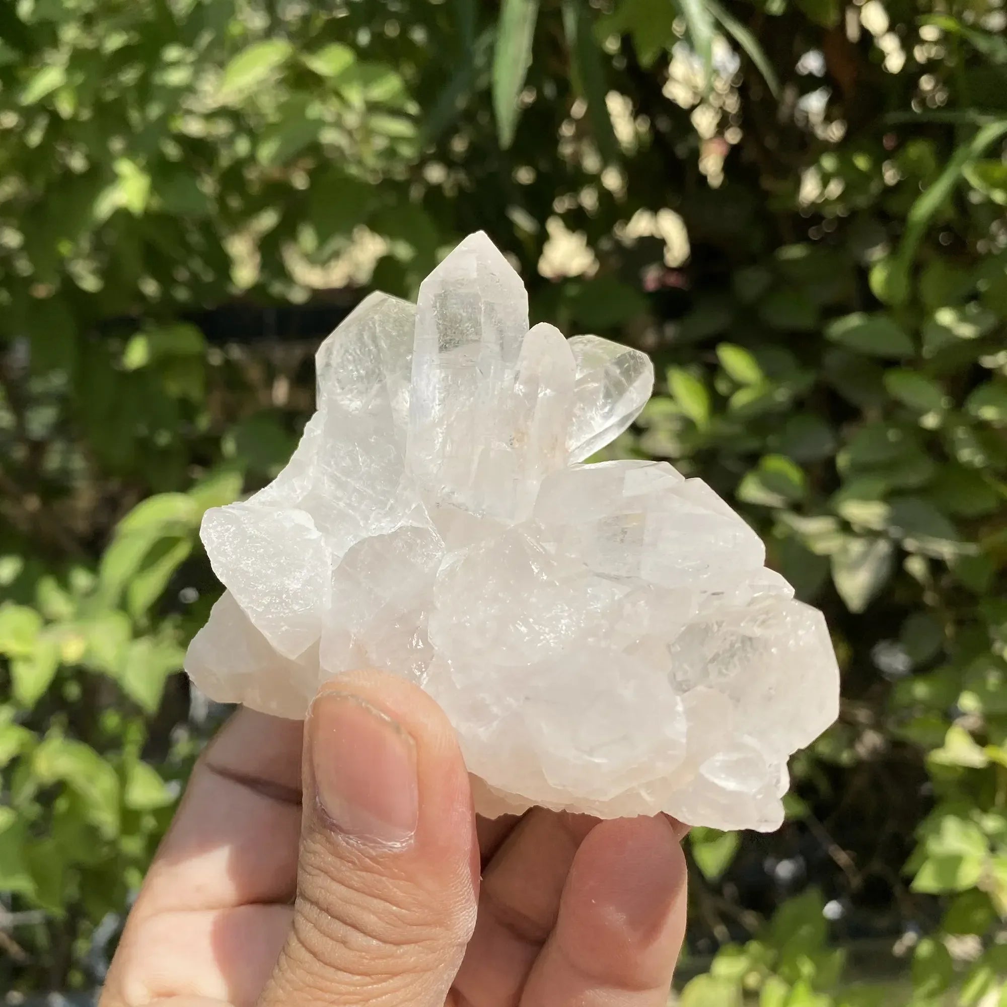 Natural Himalayan White Quartz Cluster 275g Himalayan Quartz
